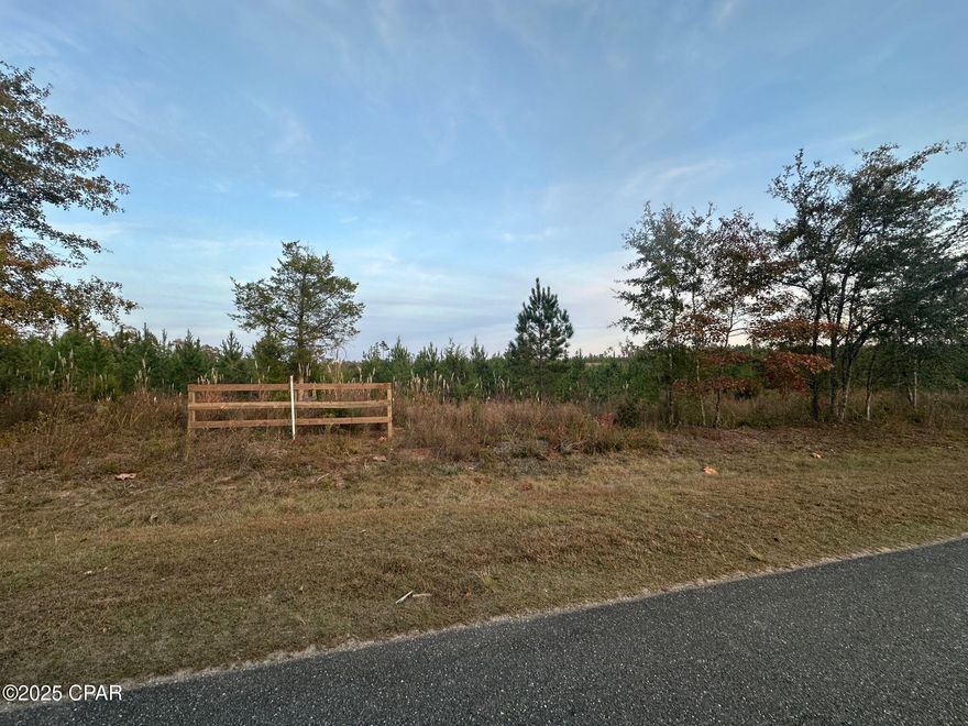 Nestled just south of Marianna this property could bought as a 10- or 20-acre tract of land.   Rolling pines off a paved road, with gates and privacy.    Great for building the structure you desire, or recreational purposes.   Call today to take a look and see if this property can work for you!!
