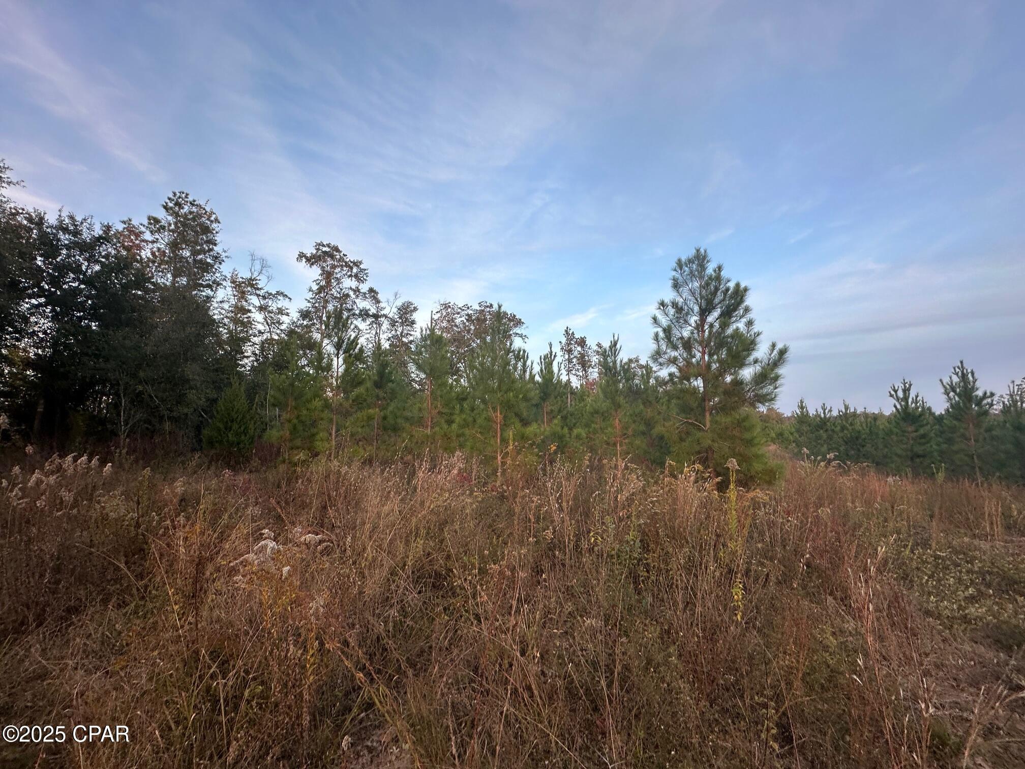 [No Recorded Subdiv] - Land