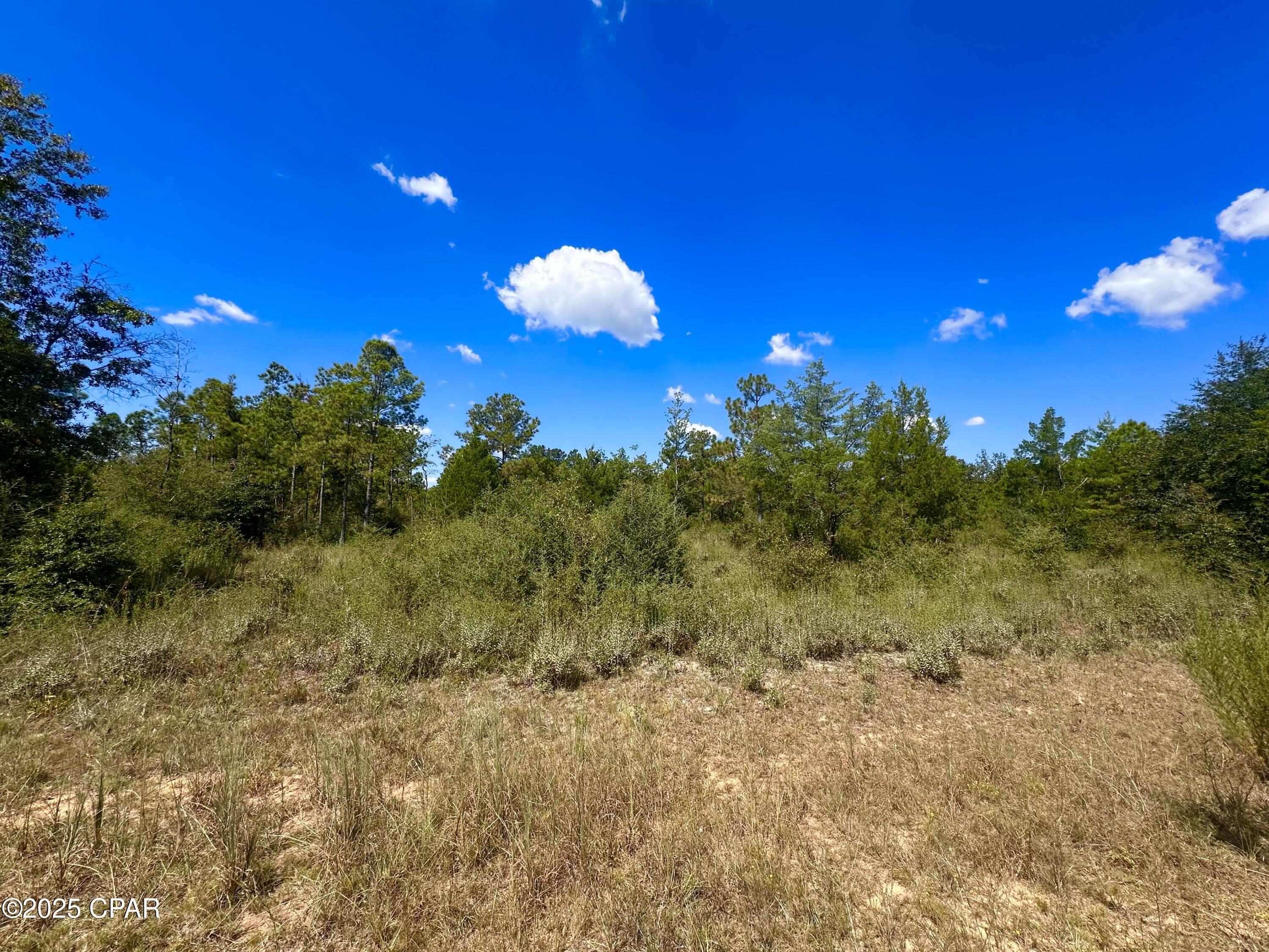 Compass Lake Hills Unit 2 - Land