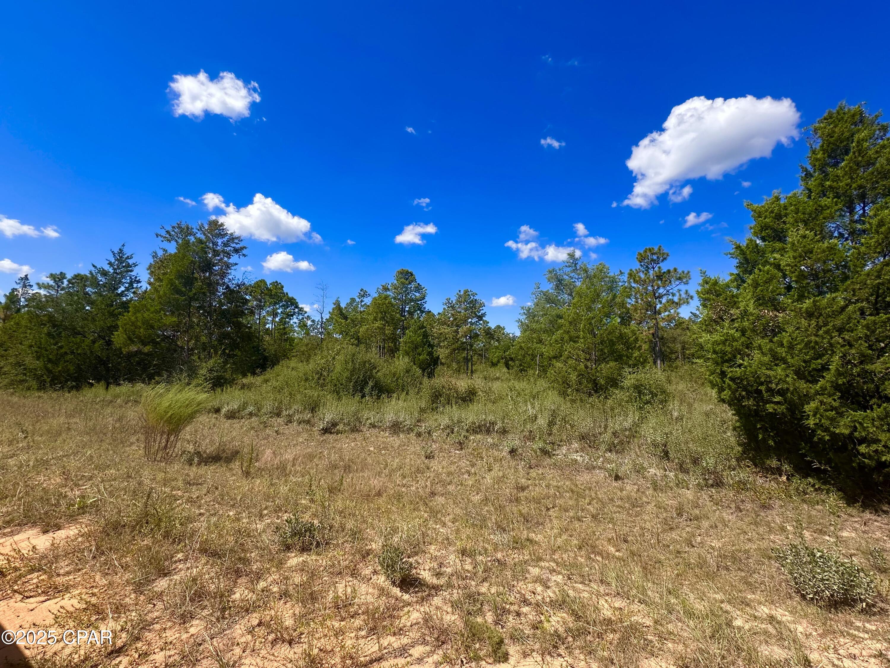 Compass Lake Hills Unit 2 - Land