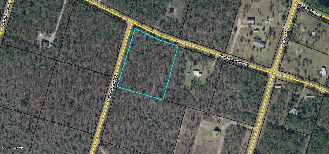 Buckhorn Creek - Land