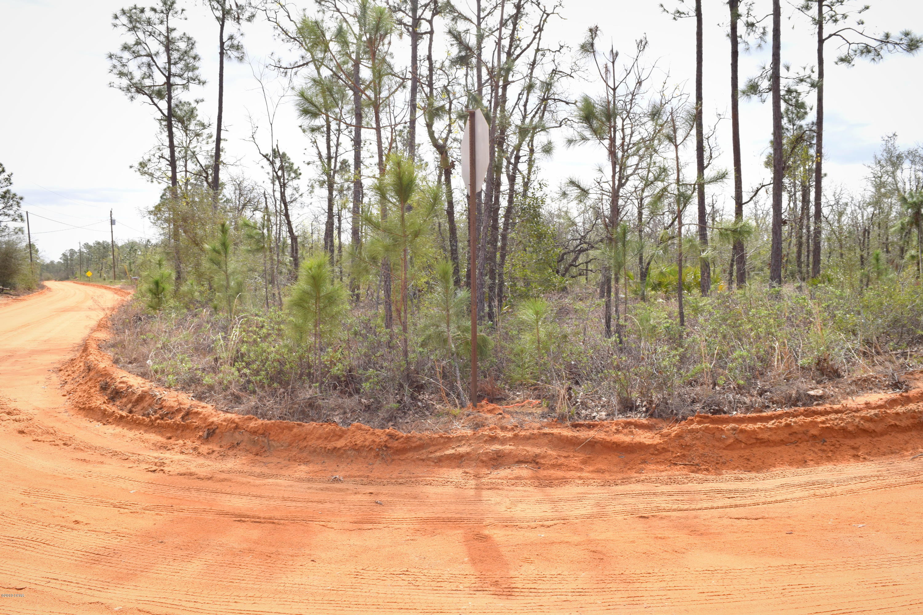 Buckhorn Creek - Land