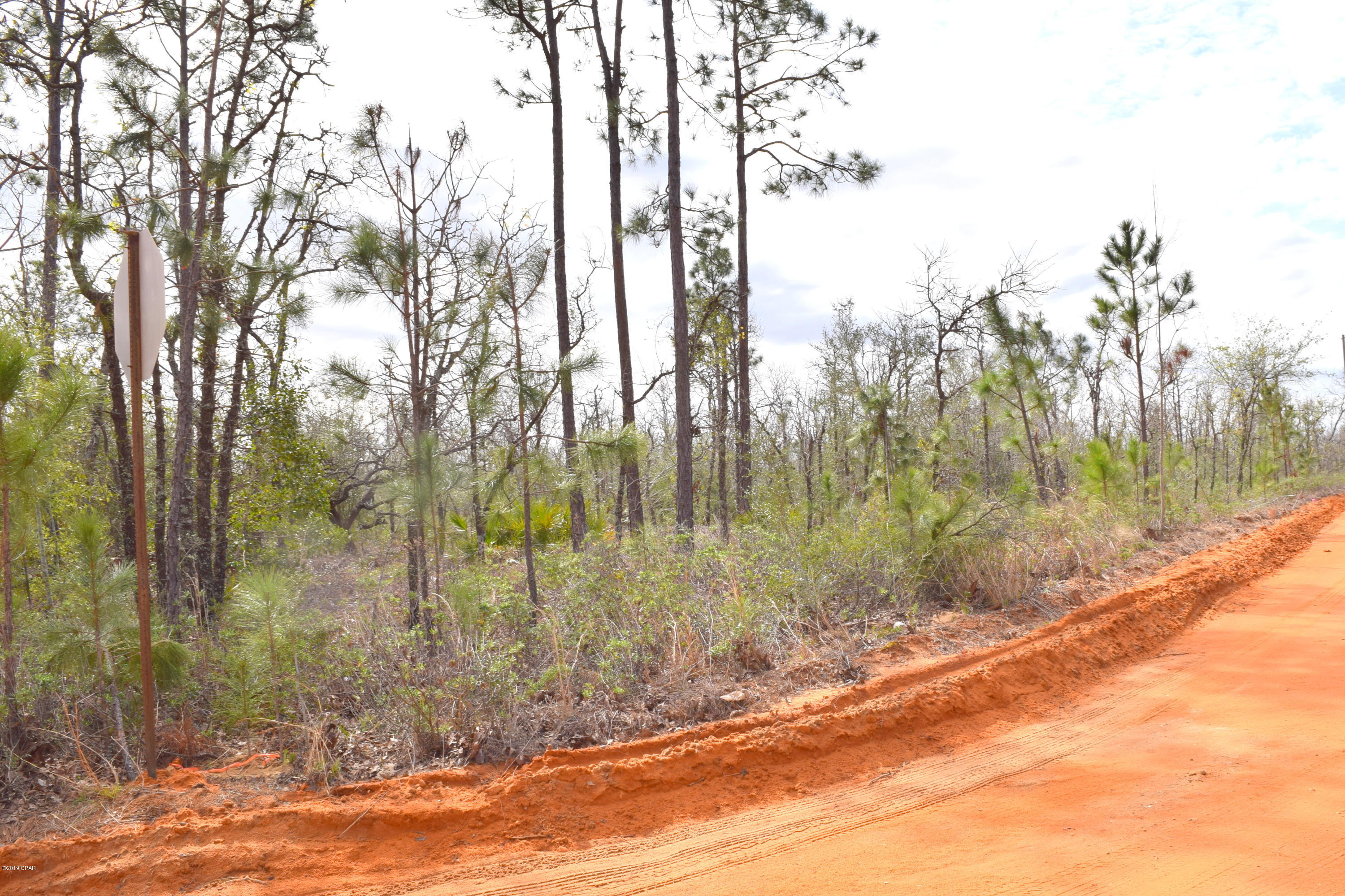 Buckhorn Creek - Land