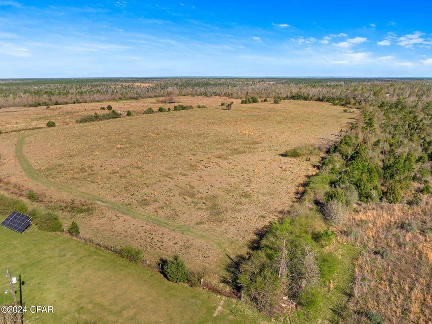 Take advantage of this rare opportunity to own approximately 64 beautiful, high, and dry acres in Bay County, Florida! Currently Zoned AG-1 and ready for you to make it your own! 

With approximately 58 acres cleared and set up as pasture land and approximately 6 acres of hardwoods, the possibilities with this property are endless. Additionally, discover a serene pond tucked away in the northwest corner, inviting wildlife from the adjacent timberland. Don't hesitate—this rare gem won't be available for long!  

Whether you're looking for your next investment, future homesite, or farmland, see what these 64 acres have to offer. Call a REALTOR today to schedule a private tour. If essential, please verify all information and measurements.