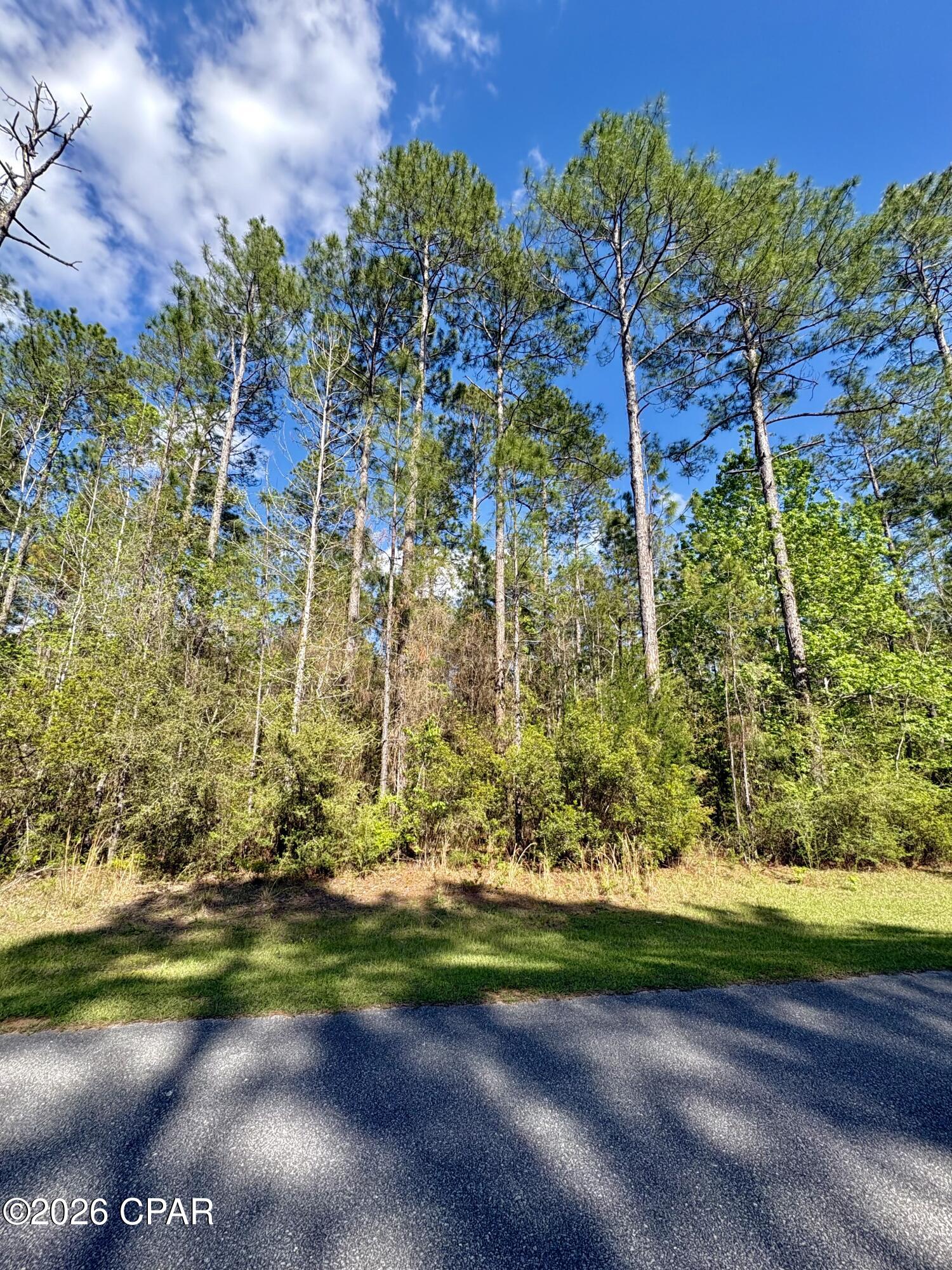 Cypress Crossing - Land