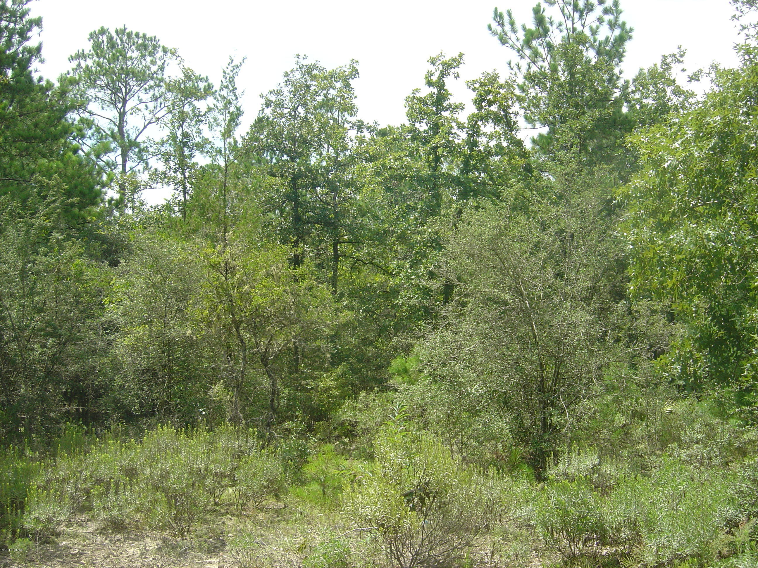 Compass Lake Hills Unit 4 - Land