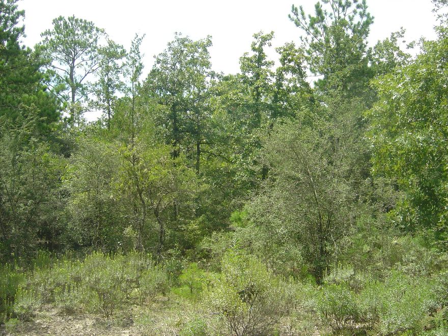 Excellent lot in Compass Lake in the Hills with all the amenities of CLH