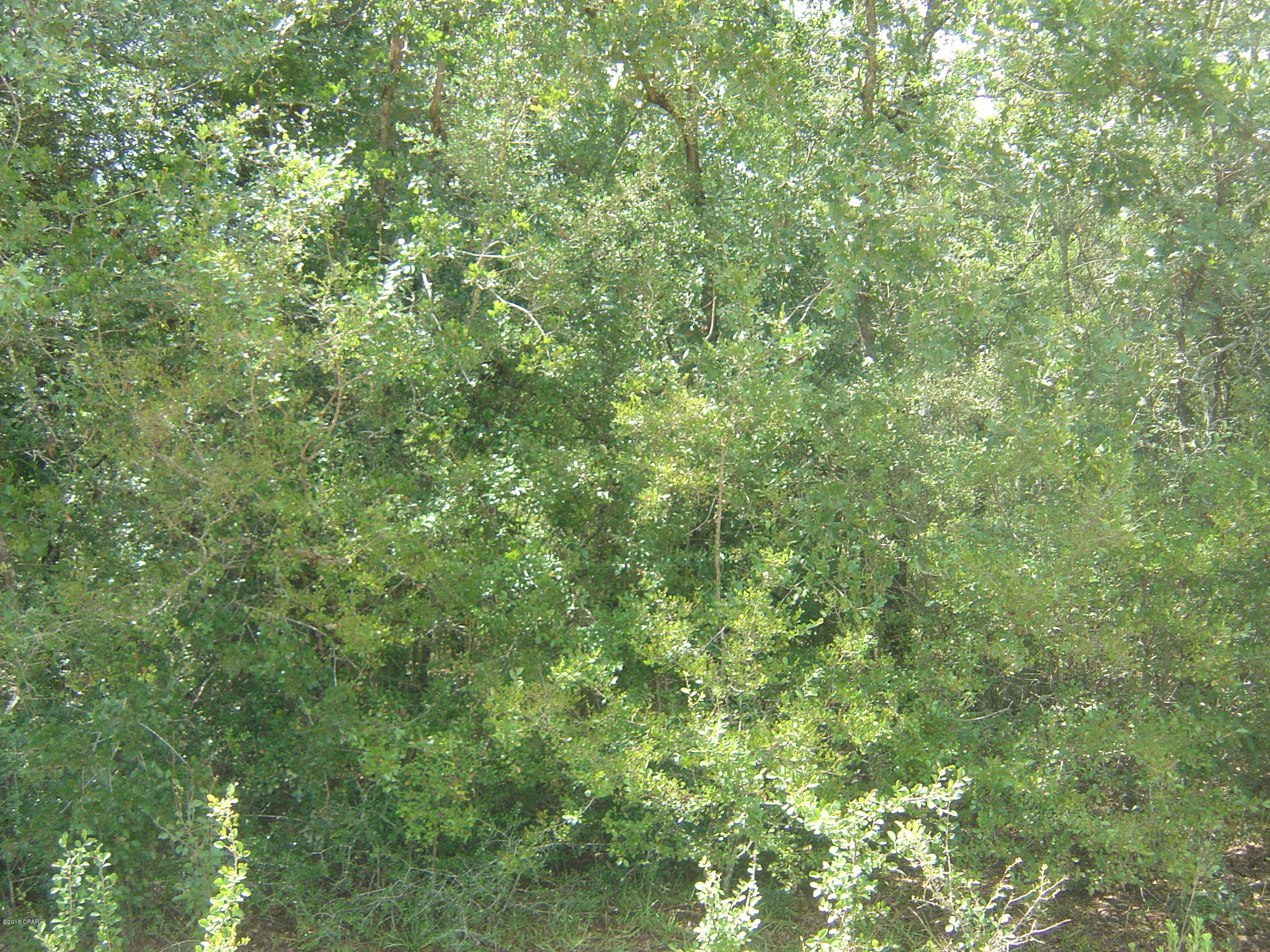 Compass Lake Hills Unit 4 - Land