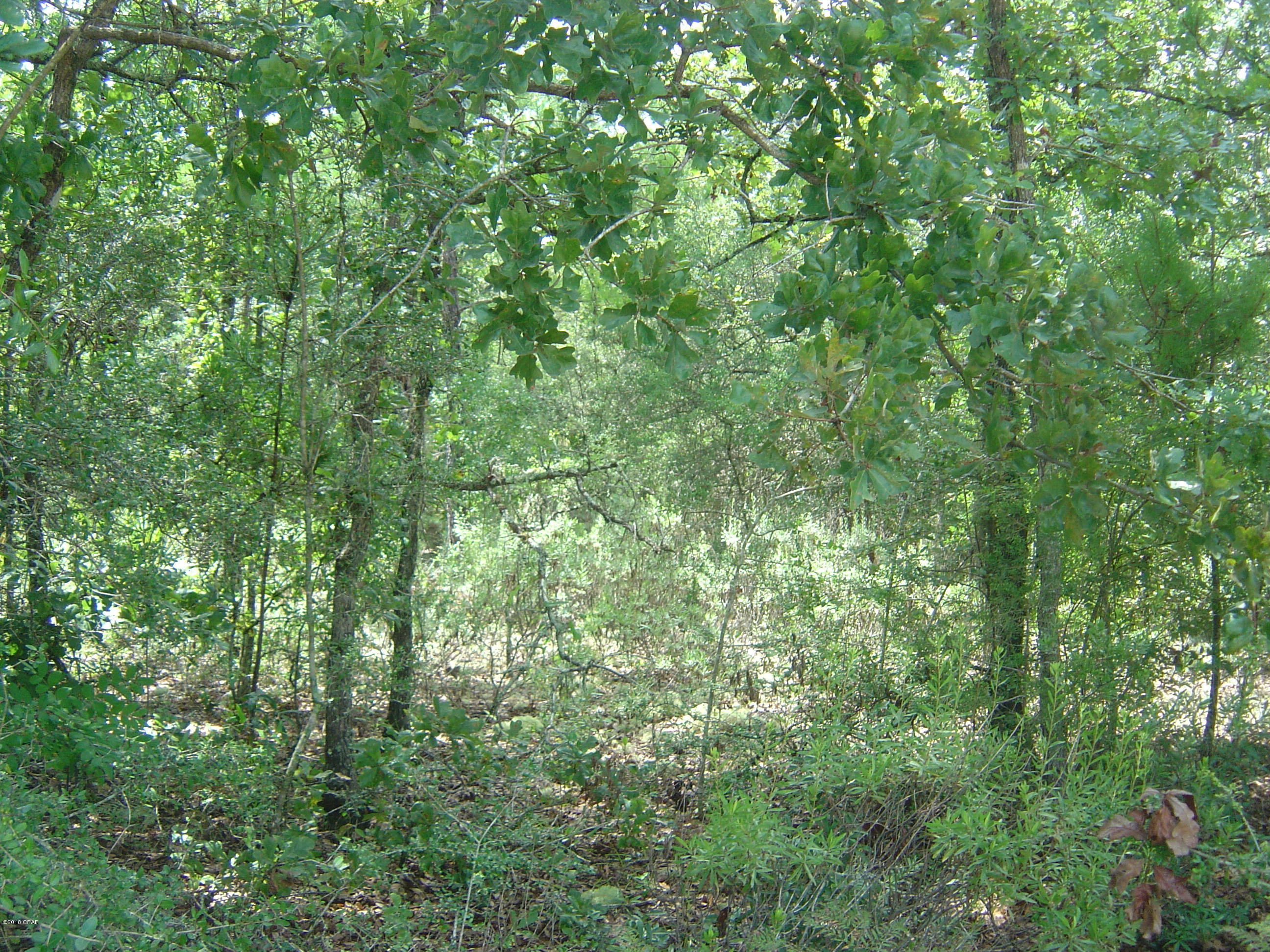 Compass Lake Hills Unit 4 - Land