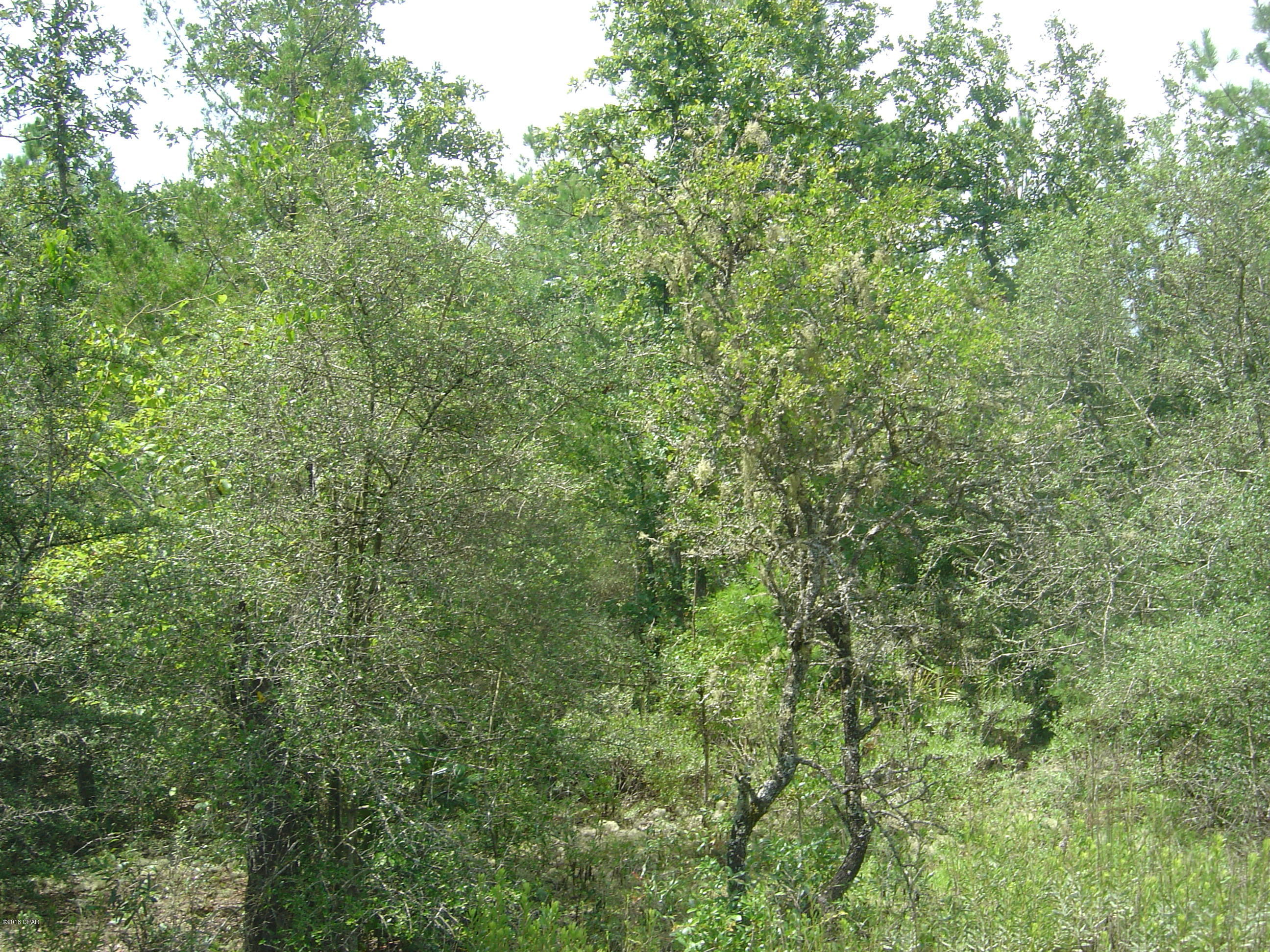 Compass Lake Hills Unit 4 - Land