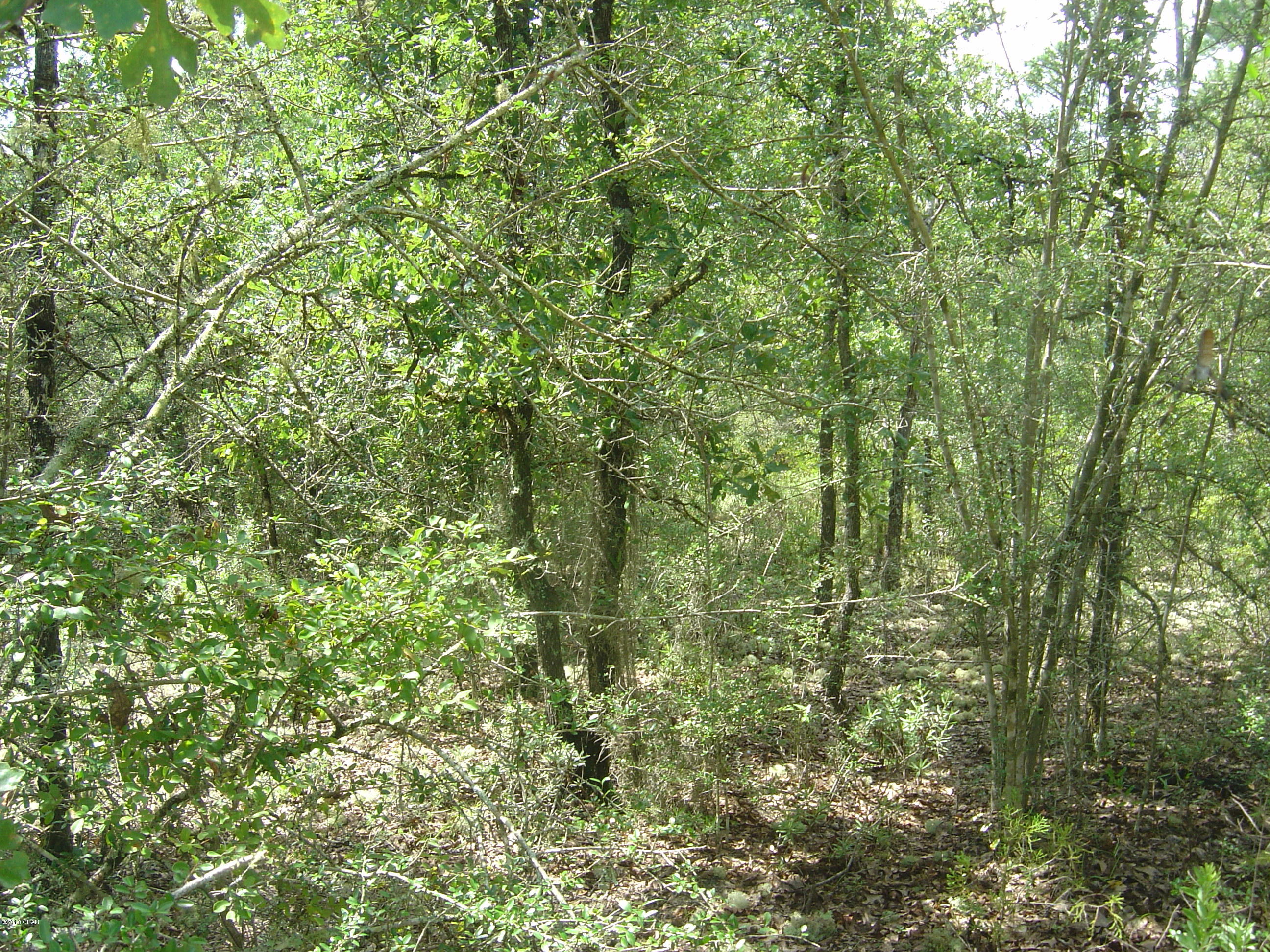 Compass Lake Hills Unit 4 - Land