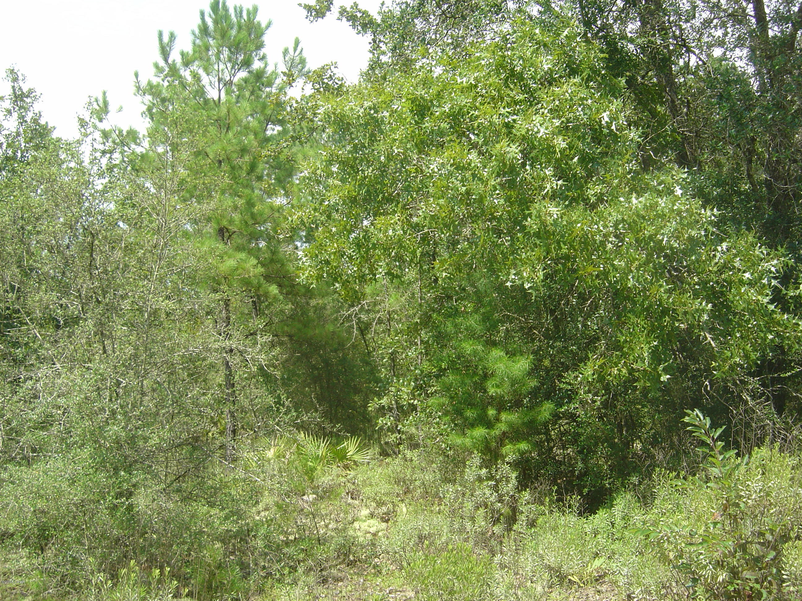 Compass Lake Hills Unit 4 - Land