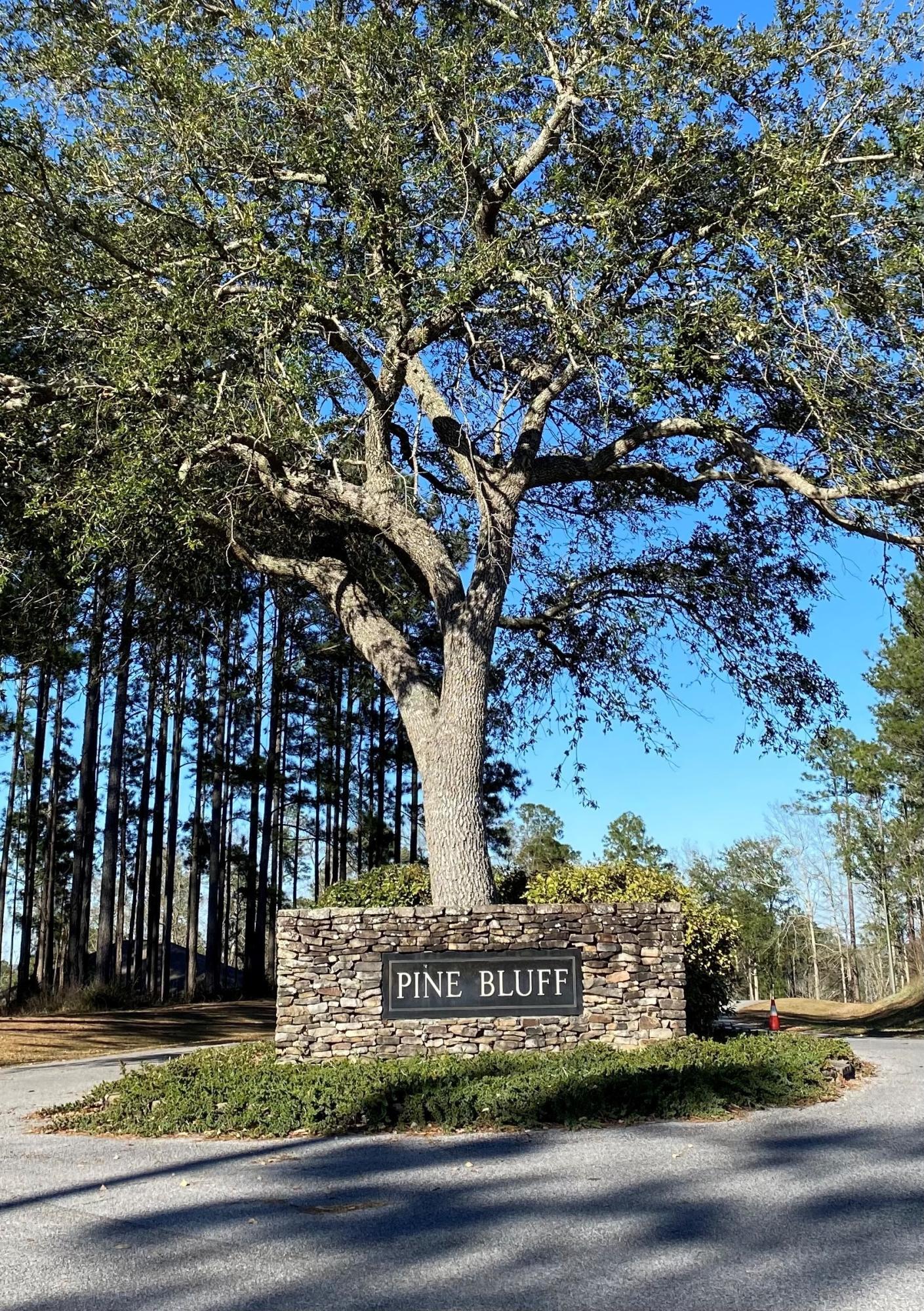 Pine Bluff - Land