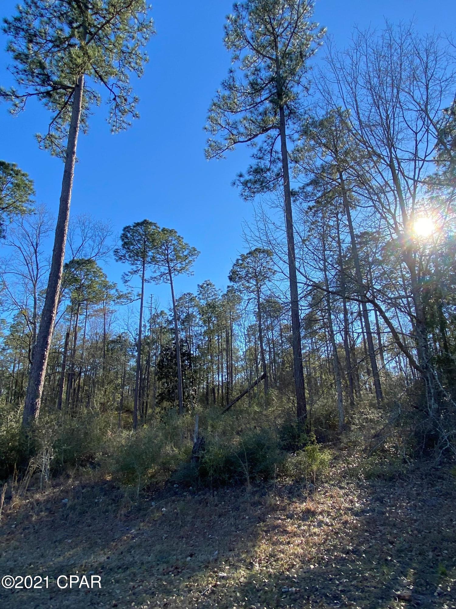 Pine Bluff - Land