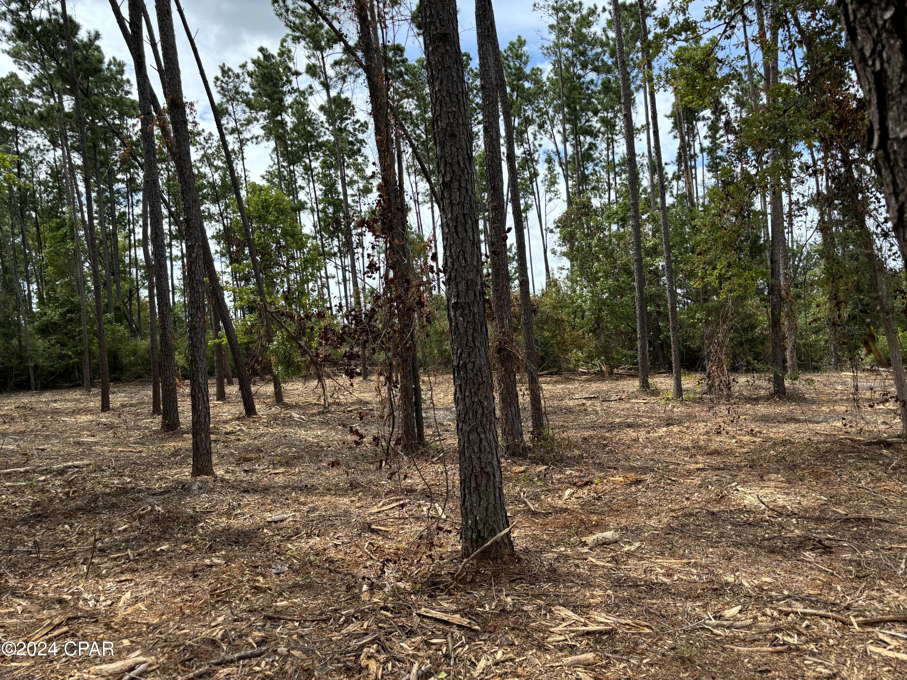 [No Recorded Subdiv] - Land