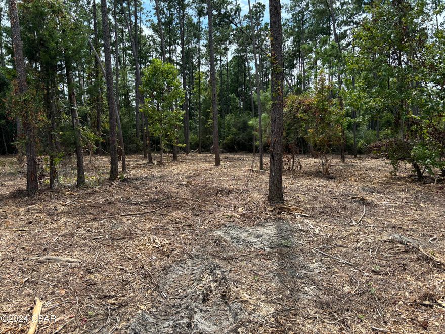 CURRENTLY UNDER CONTRACT, SELLER ACCEPTING BACKUP OFFERS'


Build Your Dream Home on this.98 Acre Lot
Located in the charming city of Marianna, Florida, this spacious lot offers the perfect canvas for creating your dream home.  With just the right amount of space, it provides a tranquil homesite. 
Looking for more space or considering an expansion? The adjacent lot (Lot# 37) is also available for purchase, providing even more possibilities for your future home. 
Mobile homes are not permitted.