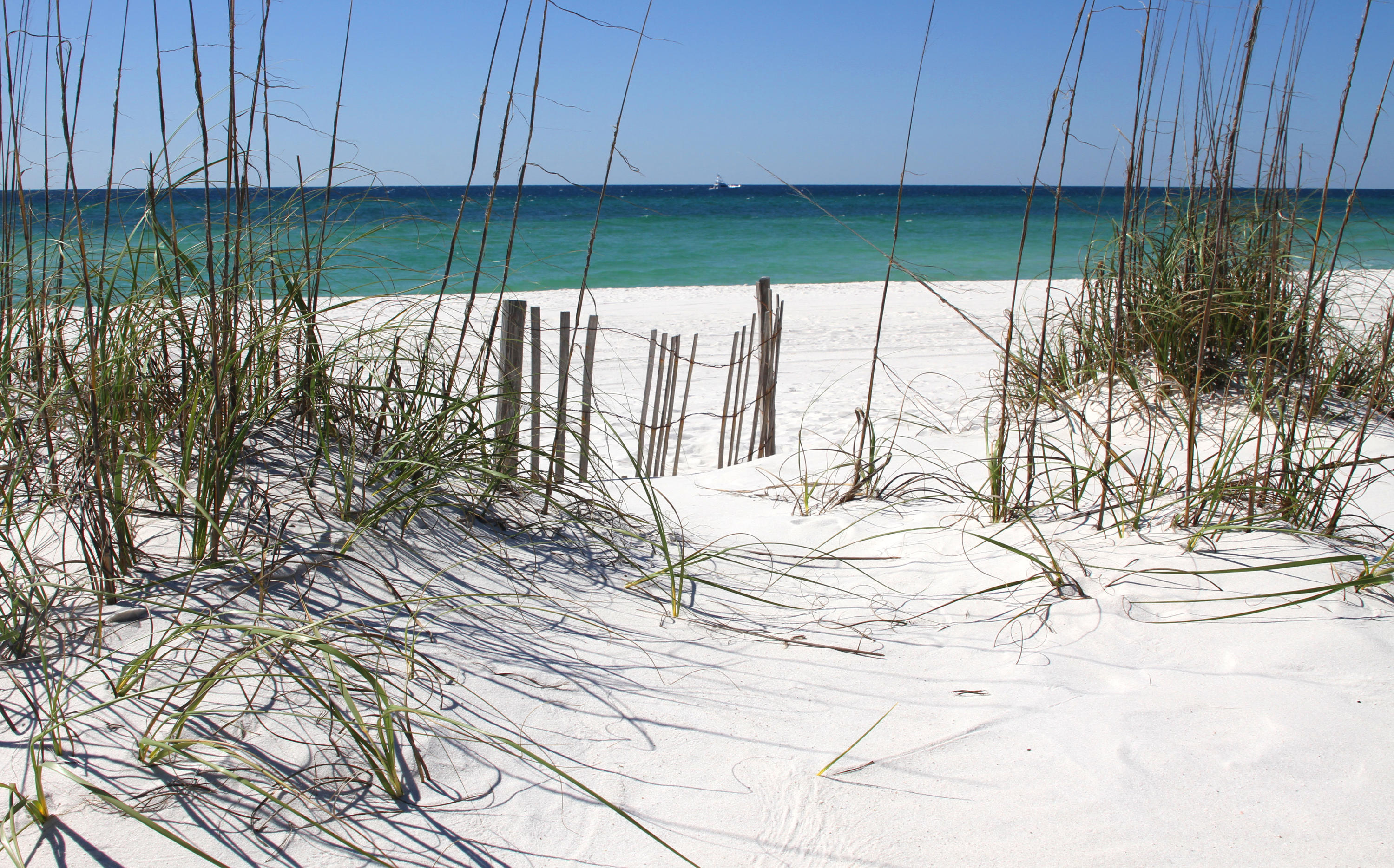 Sunbird Condo - Residential