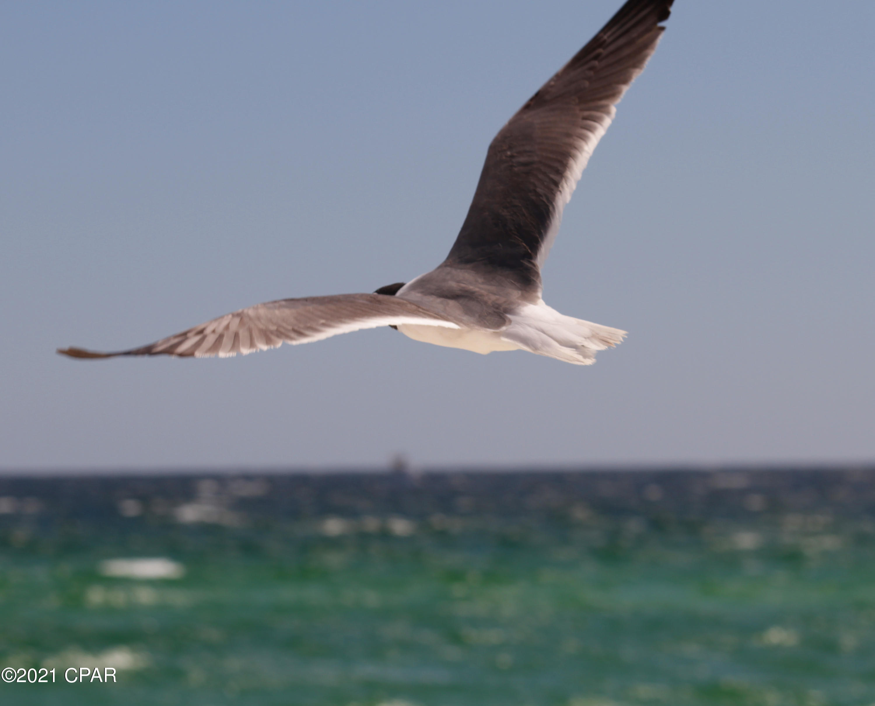 Sunbird Condo - Residential