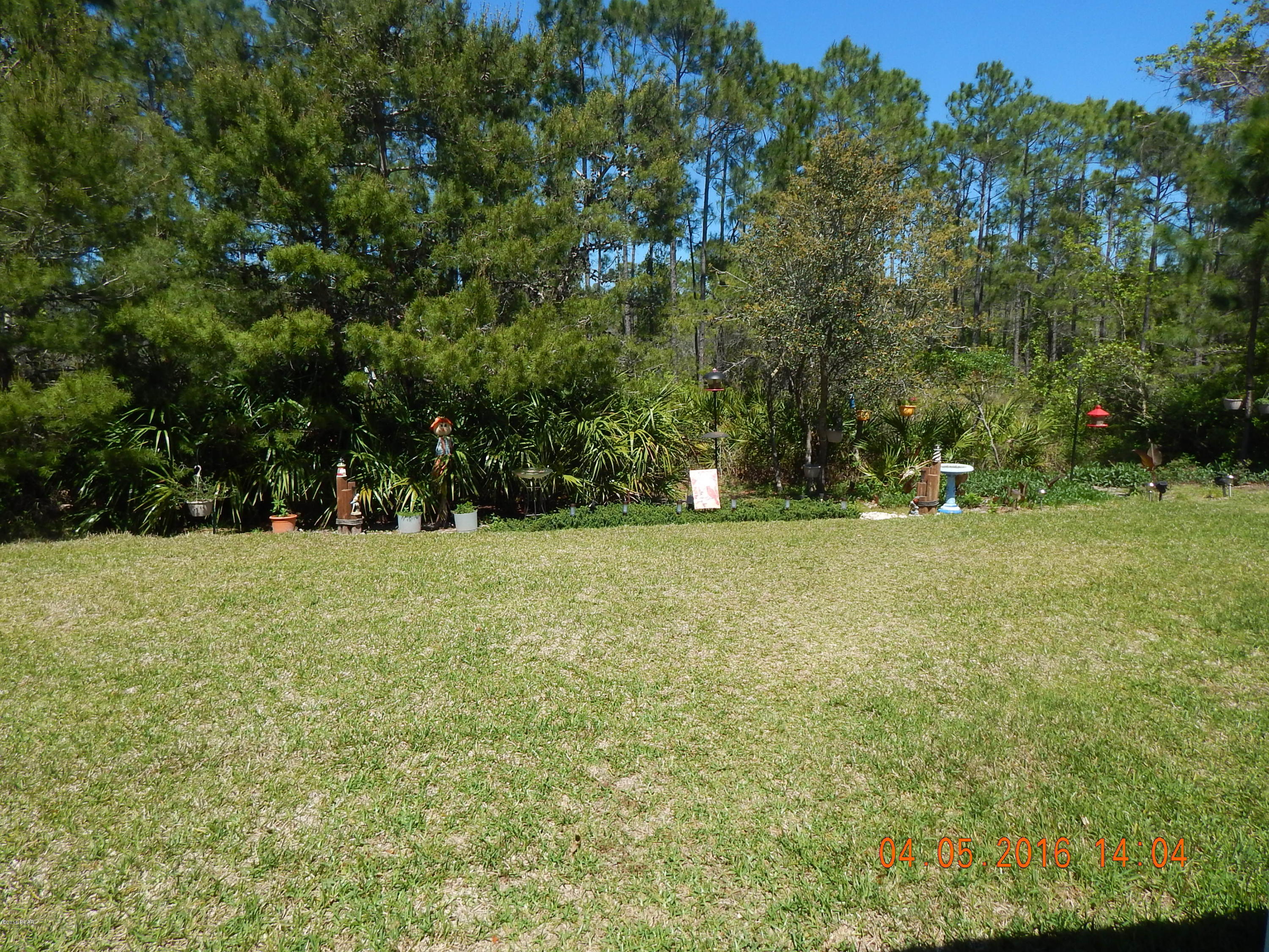 Palmetto Trace Phase 1 - Residential