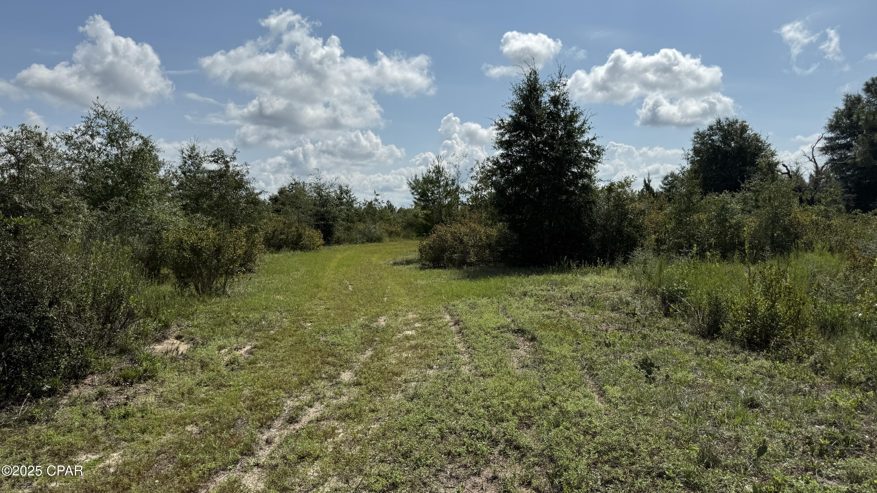 Country Estates - Land