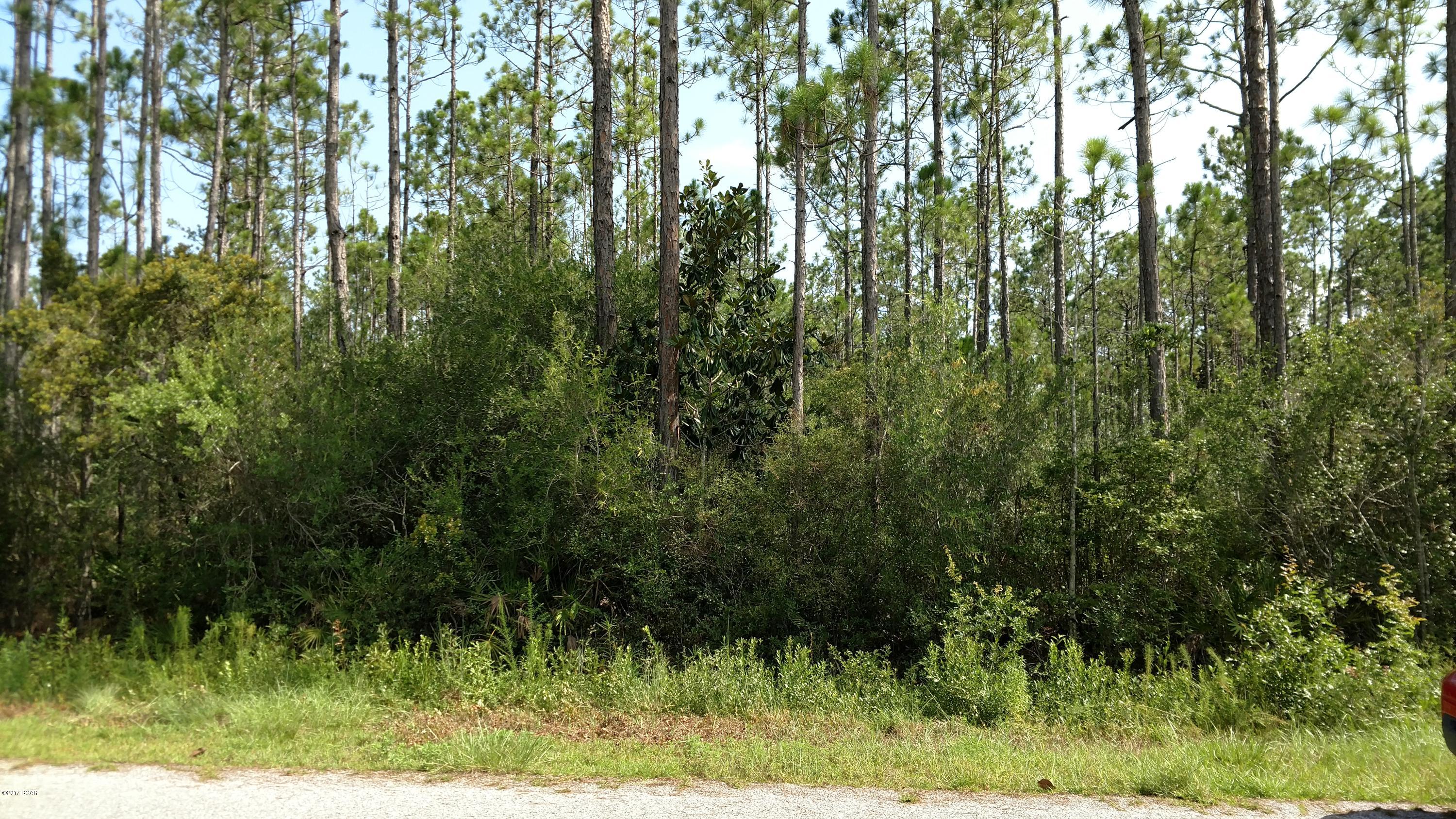 Wildwood Estates - Land