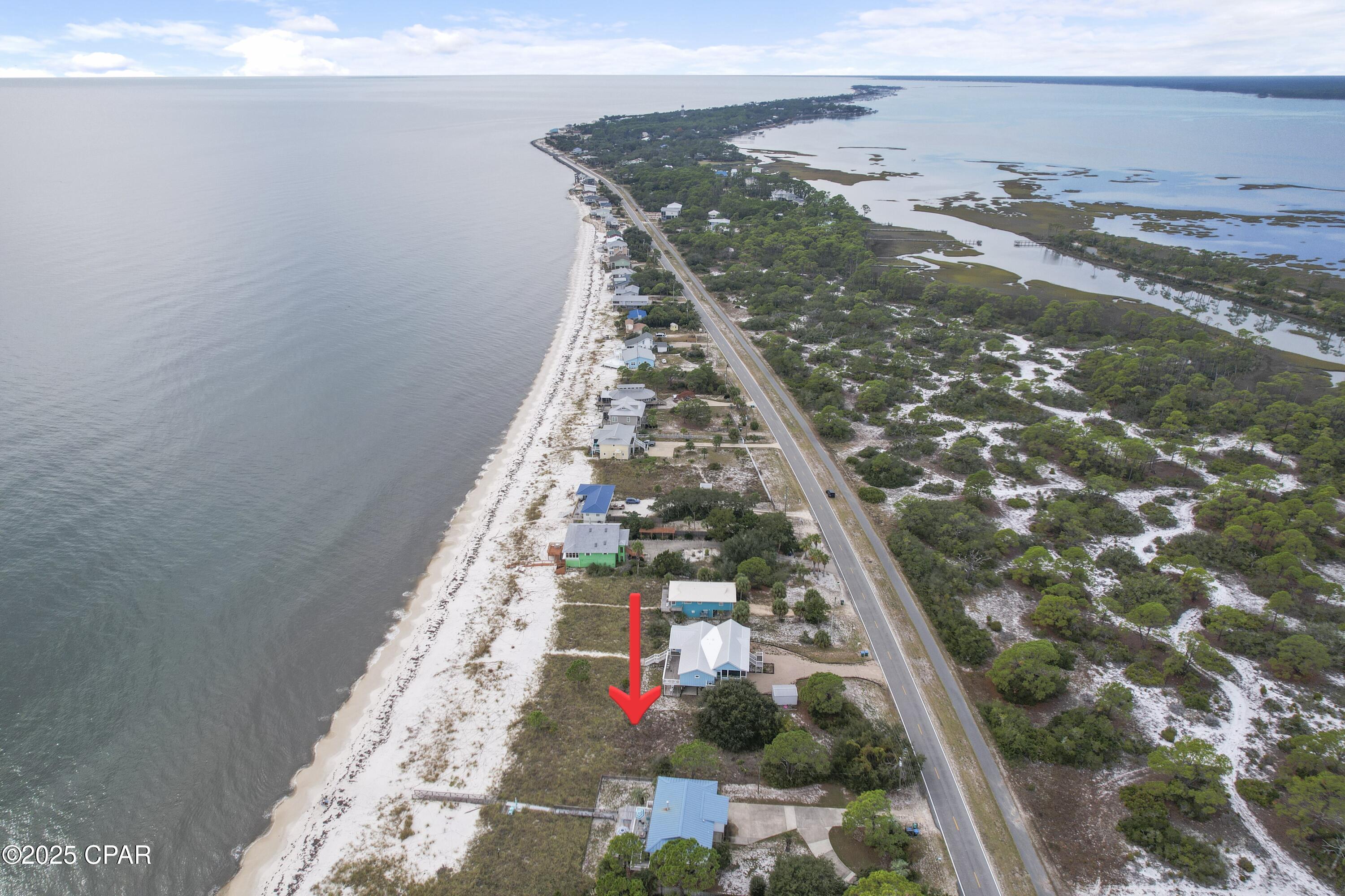 1157 Alligator Drive