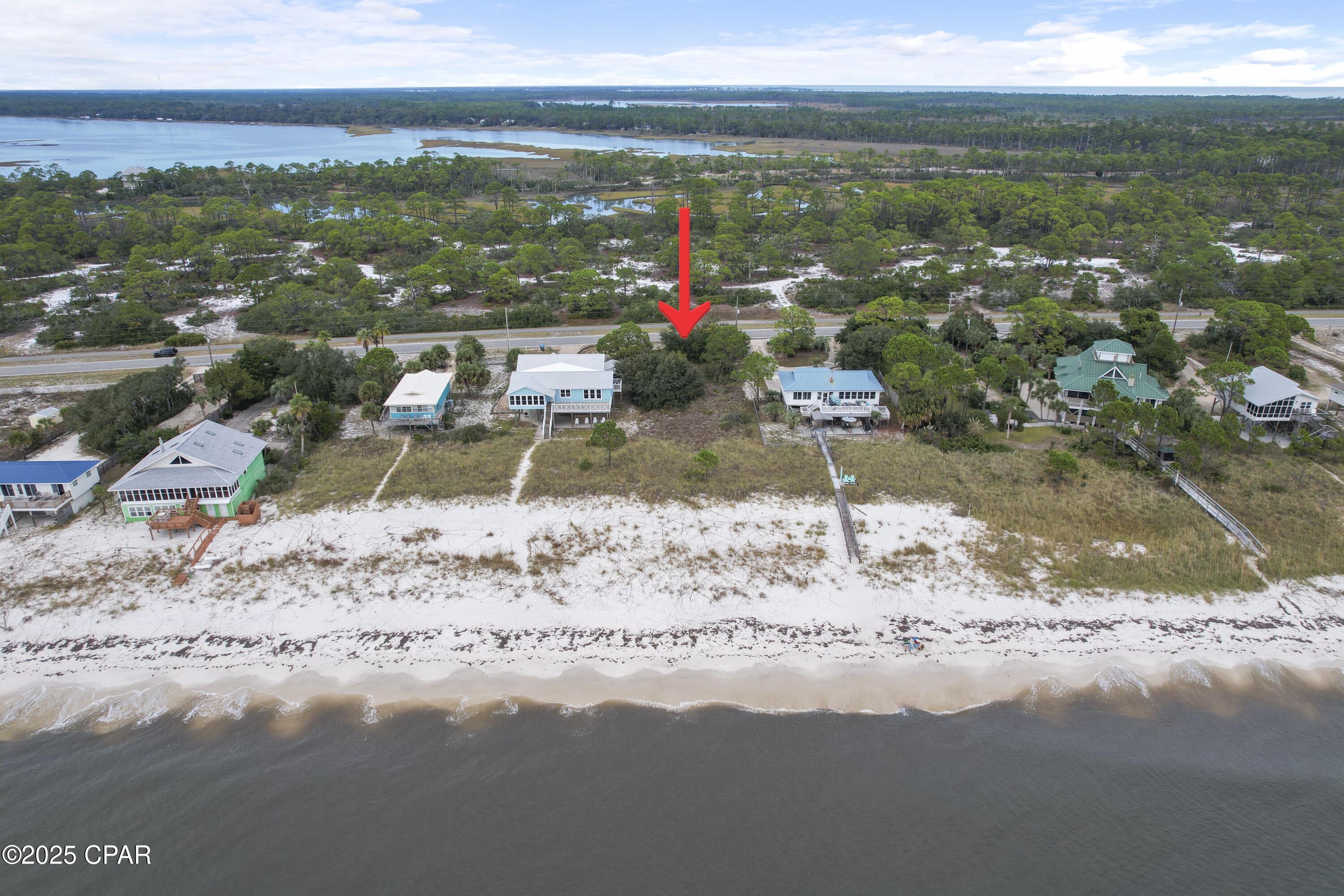 1157 Alligator Drive