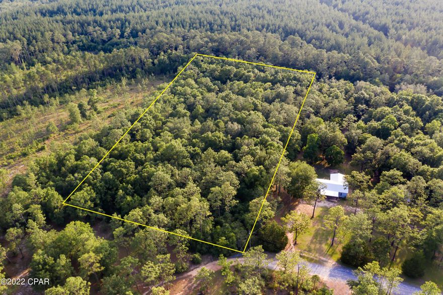 Almost five and a half acres a short drive off of Highway 79! This wooded lot is located at the dead end and is mostly high and dry. Bring your farm animals and start a garden on this unrestricted land. Enjoy country living and the slower pace of life, only 45 minutes to Panama City Beach! Here you can build or bring your mobile home. The property does not have utilities so you would need a well and septic, but power is nearby. The owner is offering owner financing with half down, over 60 months, at 7.5% interest (approximately $400/mo.)