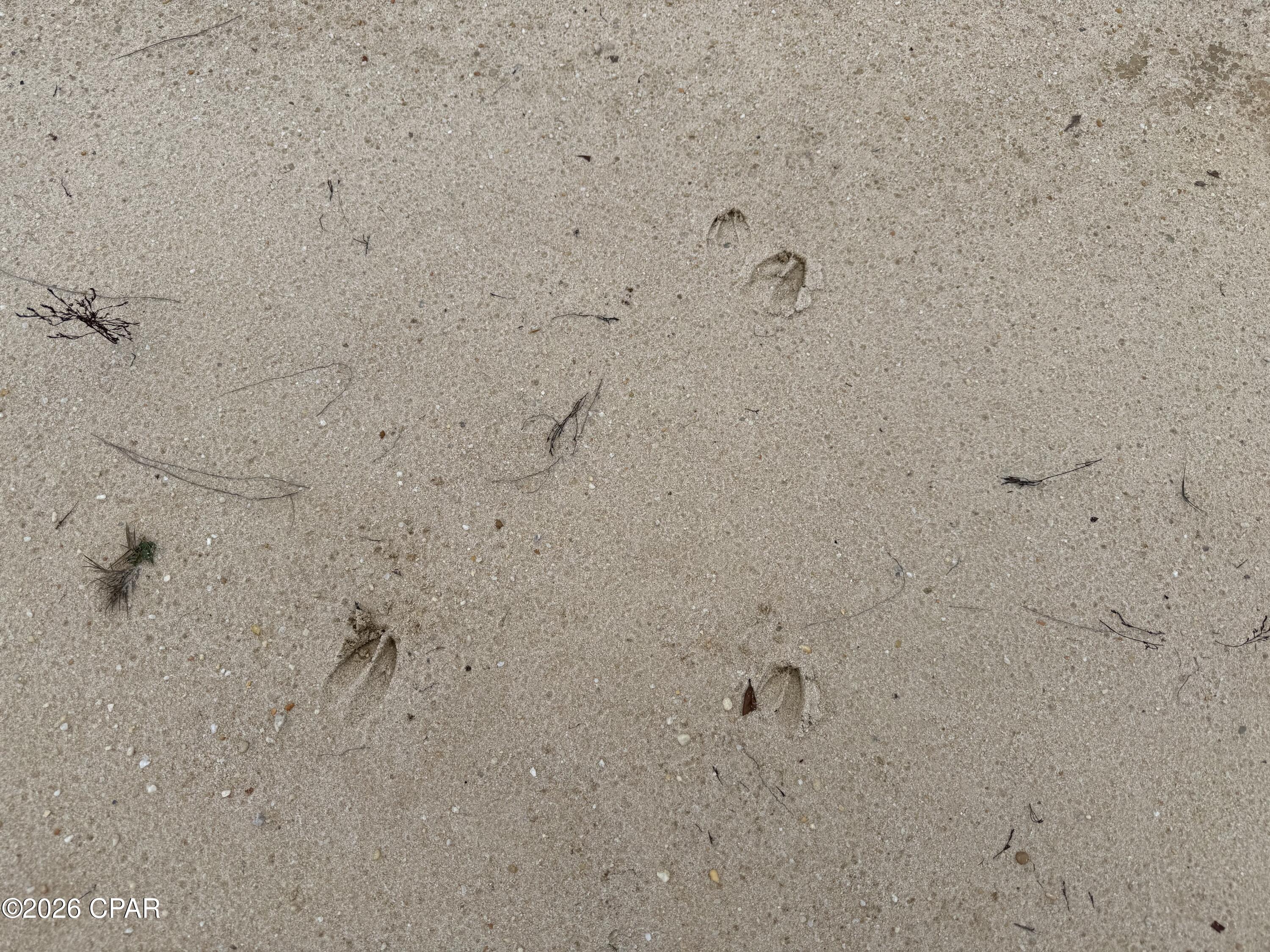 [No Recorded Subdiv] - Land