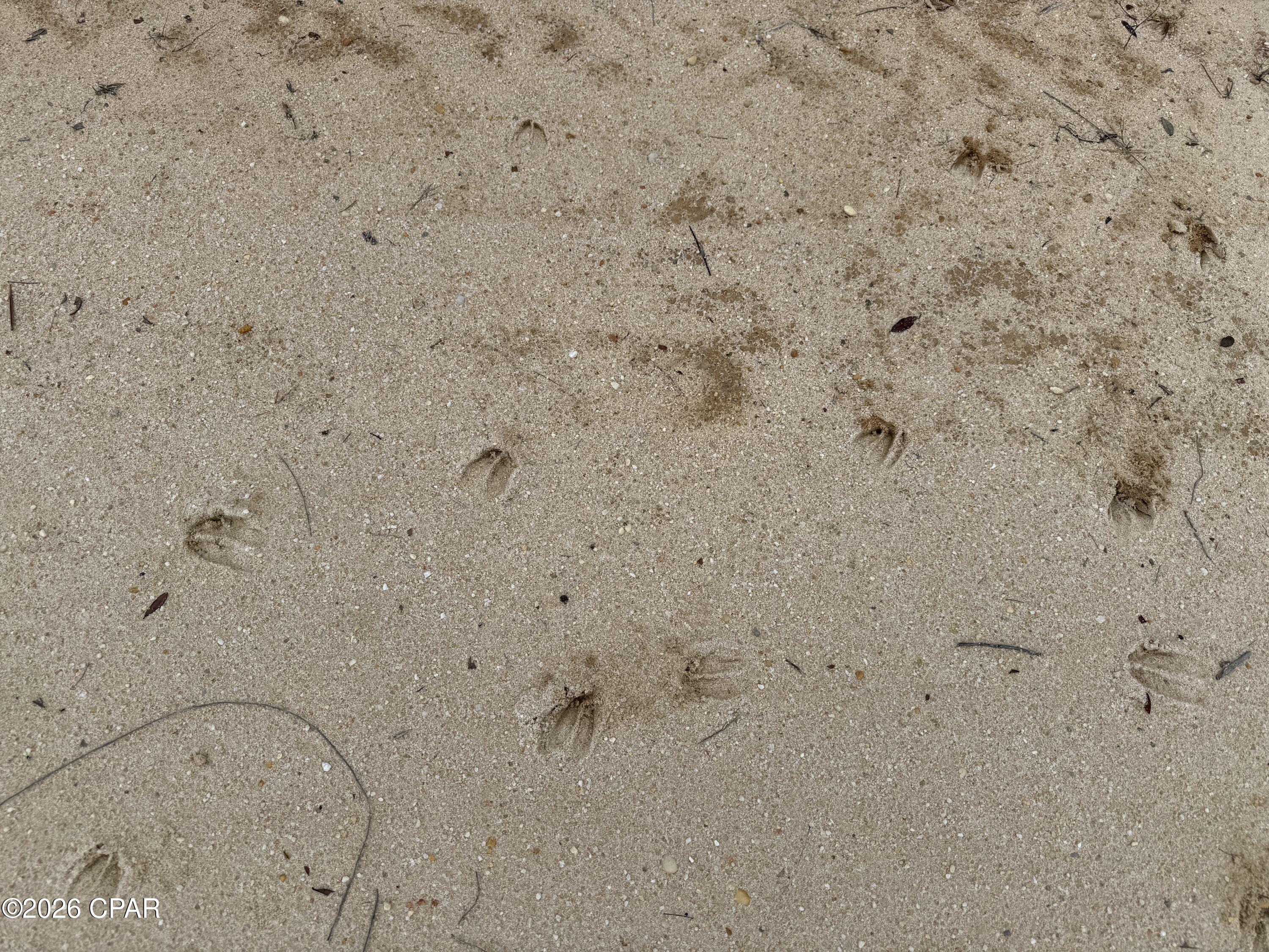 [No Recorded Subdiv] - Land