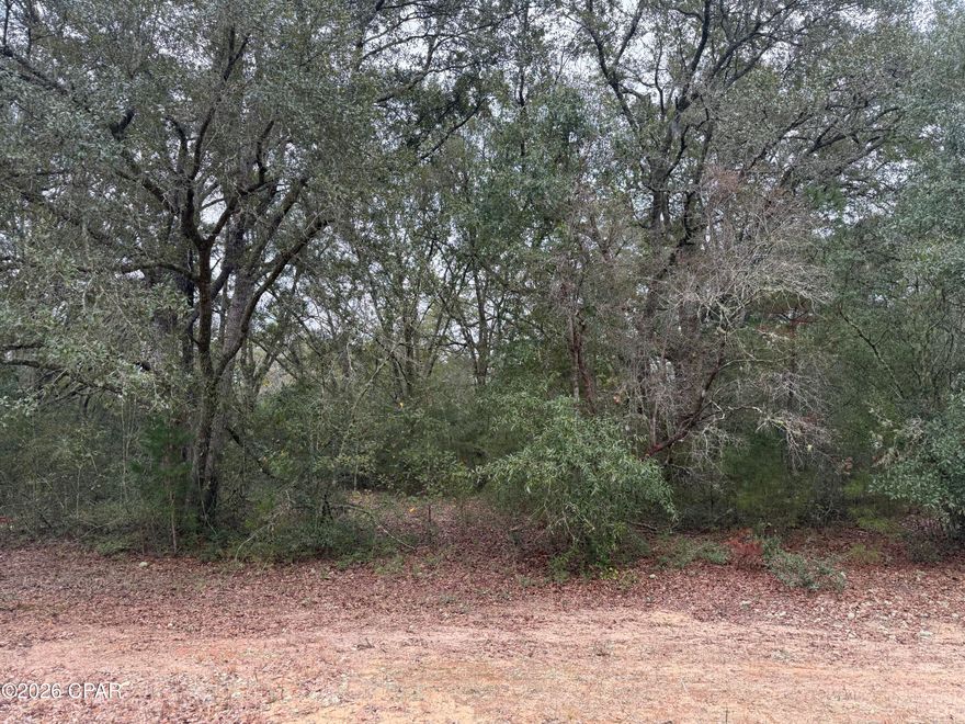 Very pretty lot with nice older oaks with great location for a new home.  Very quiet area plenty of deer. Impressive setting.  No HOA !  There is a voluntary Property Owners Association in the area but not mandatory.  Compass Lake and McCormick Lake close by for fishing and swimming.  Marianna is about