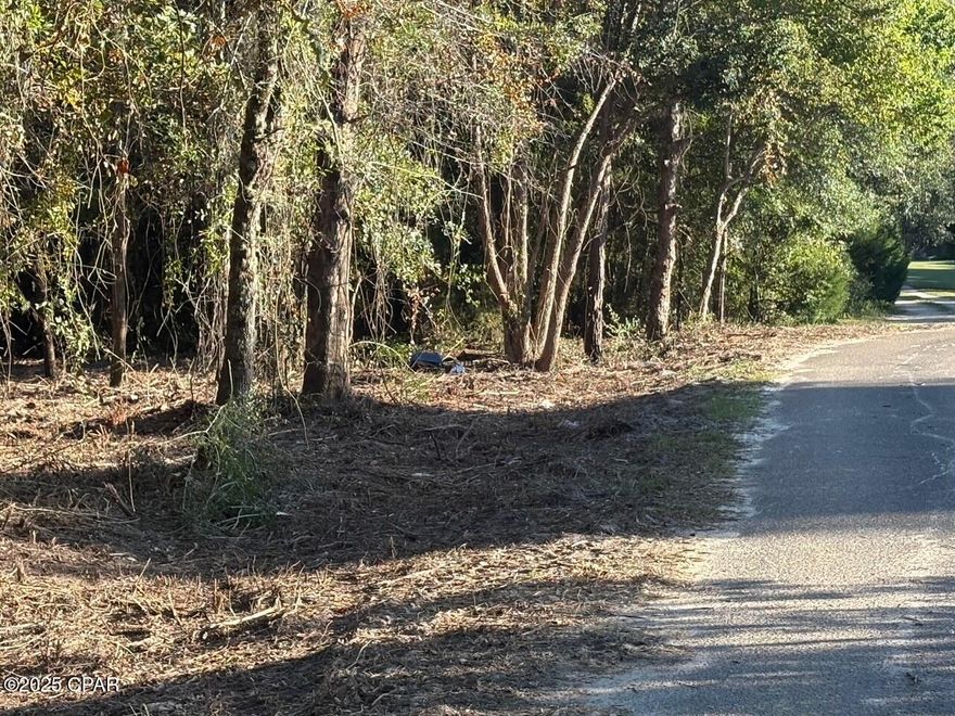 Property is Located within feet of West Arm Creek Beautiful Building lot, Underground Utilities, Access to a Private Boat launch, Paved Road.
Lots of Fishing Close By