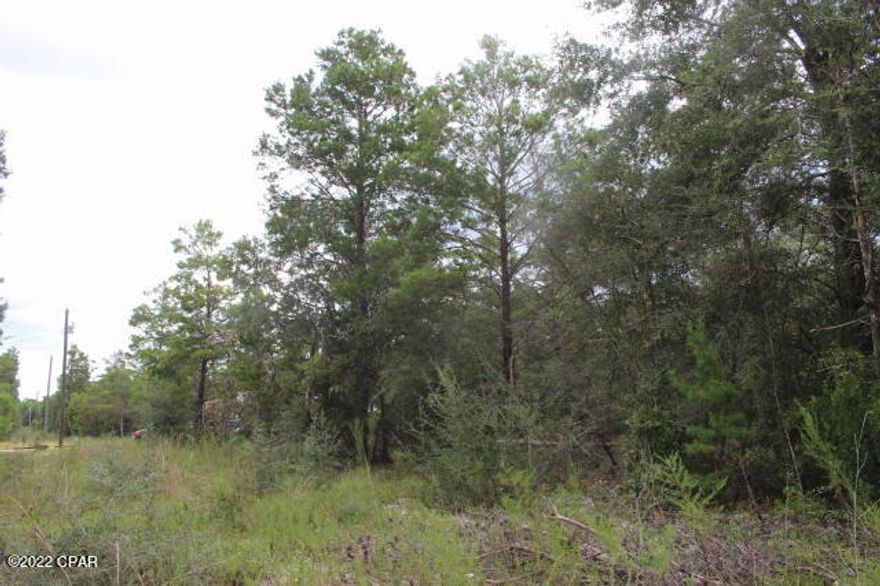 Wooded level lot located between Defuniak Springs and Crestview.  Walking distance to the Dollar General.  Two cities to choose from to do your shopping & to eat out or for a quick trip there is a Piggly Wiggly located a few miles before you get to Defuniak.  Mobile homes are welcome in this neighborhood.