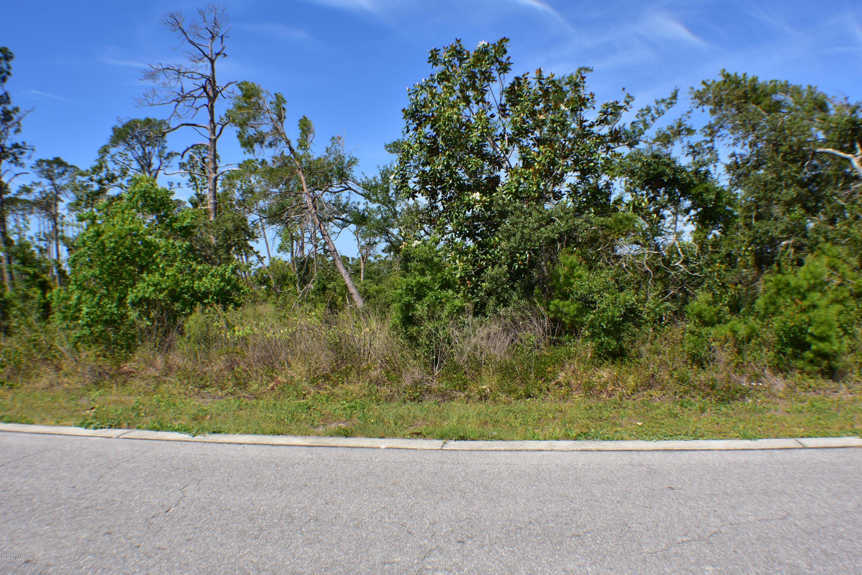 Sanctuary Beach - Land