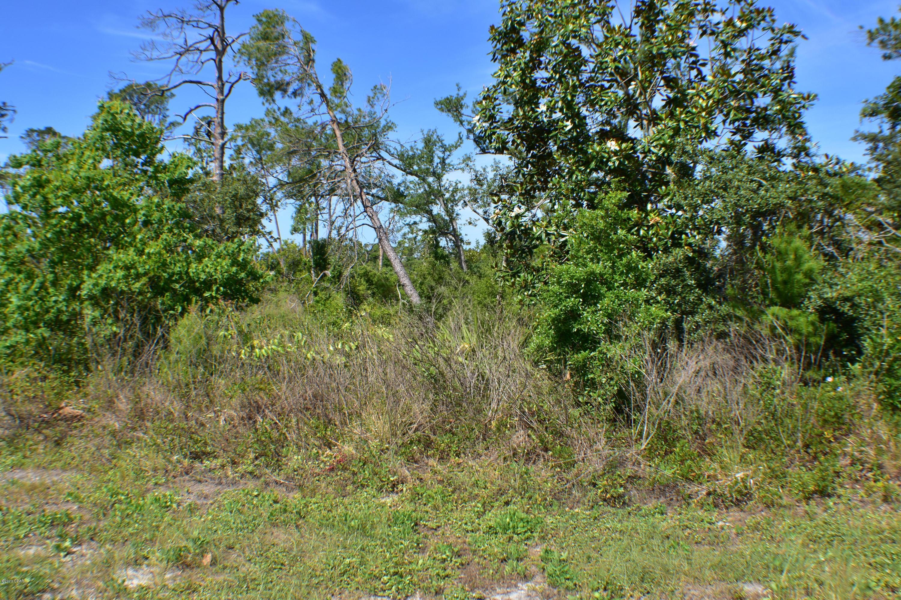 Sanctuary Beach - Land