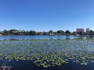 Lullwater Beach - Residential