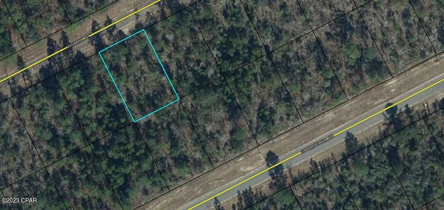 Great building lot in Beautiful Sunny Hills Florida. This parcel has been left to its original Florida landscape which allows it to become YOUR Blank Canvas AND your next ADVENTURE. Build your dream home or add it to your portfolio for the  future. These parcels also make a great graduation gift, wedding gift or birthday gift. Set in the perfect location for meeting all the requirements if you want the Peace and Quiet of the country setting and only minutes away from some of the World's Best Fishing, Hunting, Swimming and spending time in Nature. Also only minutes away are The World's Most Beautiful Beaches Panama City Beach and Famous Pier Park Shopping, Tyndall Air Force Base, Marianna Caverns, Cool Running Deep Water Springs where there is Boating, Kayaking, Camping, Snorkeling and Relic Collecting. Florida is home to so many indigenous species of plants and animals you will never tire of being outdoors. This parcel is priced to move quickly so call today.