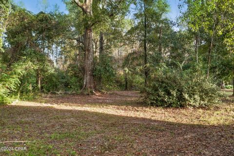 A home in Graceville