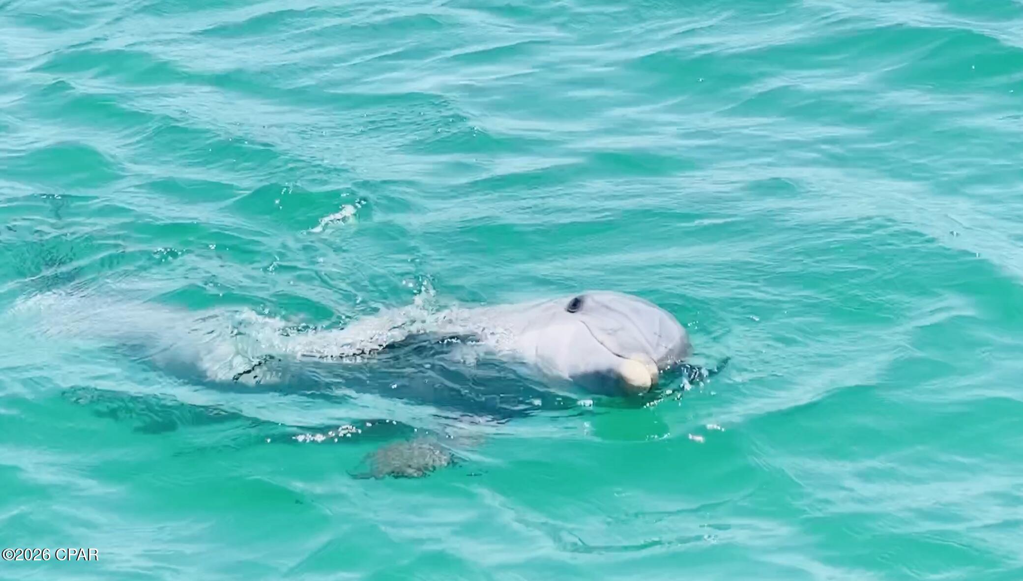 Calypso Towers III - Residential