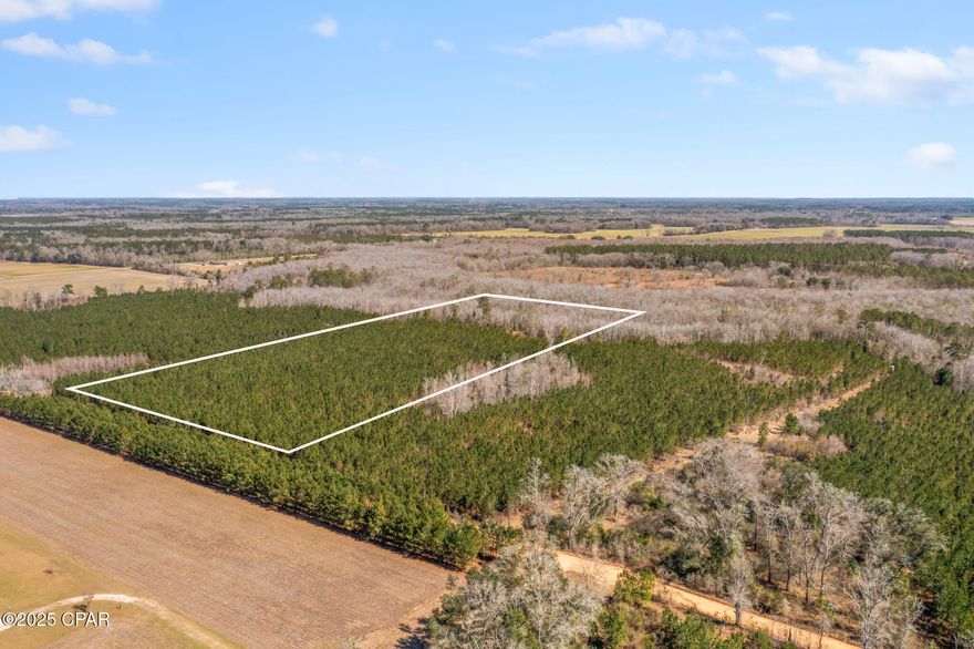 Owner financing available! Discover the perfect blend of privacy and convenience with this beautiful 15+/- acre parcel of planted pines, offering a peaceful retreat just minutes from town. Whether you're looking to build your dream home or invest in land with natural beauty, this property provides endless possibilities. Enjoy the serenity of country living while being close to shopping, dining, and local amenities. With ample space for a custom house, mobile home or recreational use, this land is a rare find in a prime location.