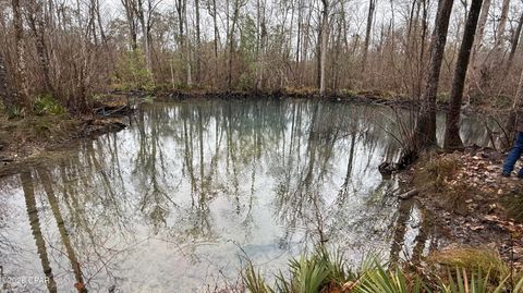 0 Otter Creek Bridge Road Ebro FL 32437