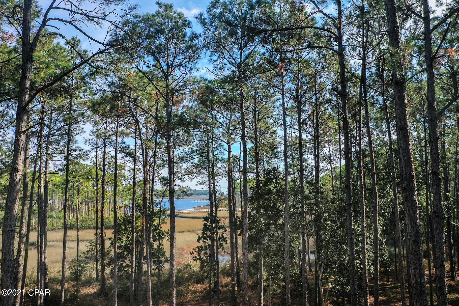 Rivercamps On Crooked Creek - Land