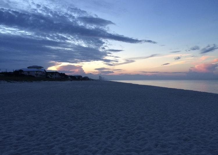 Laguna Beach Estates 5th Add - Land