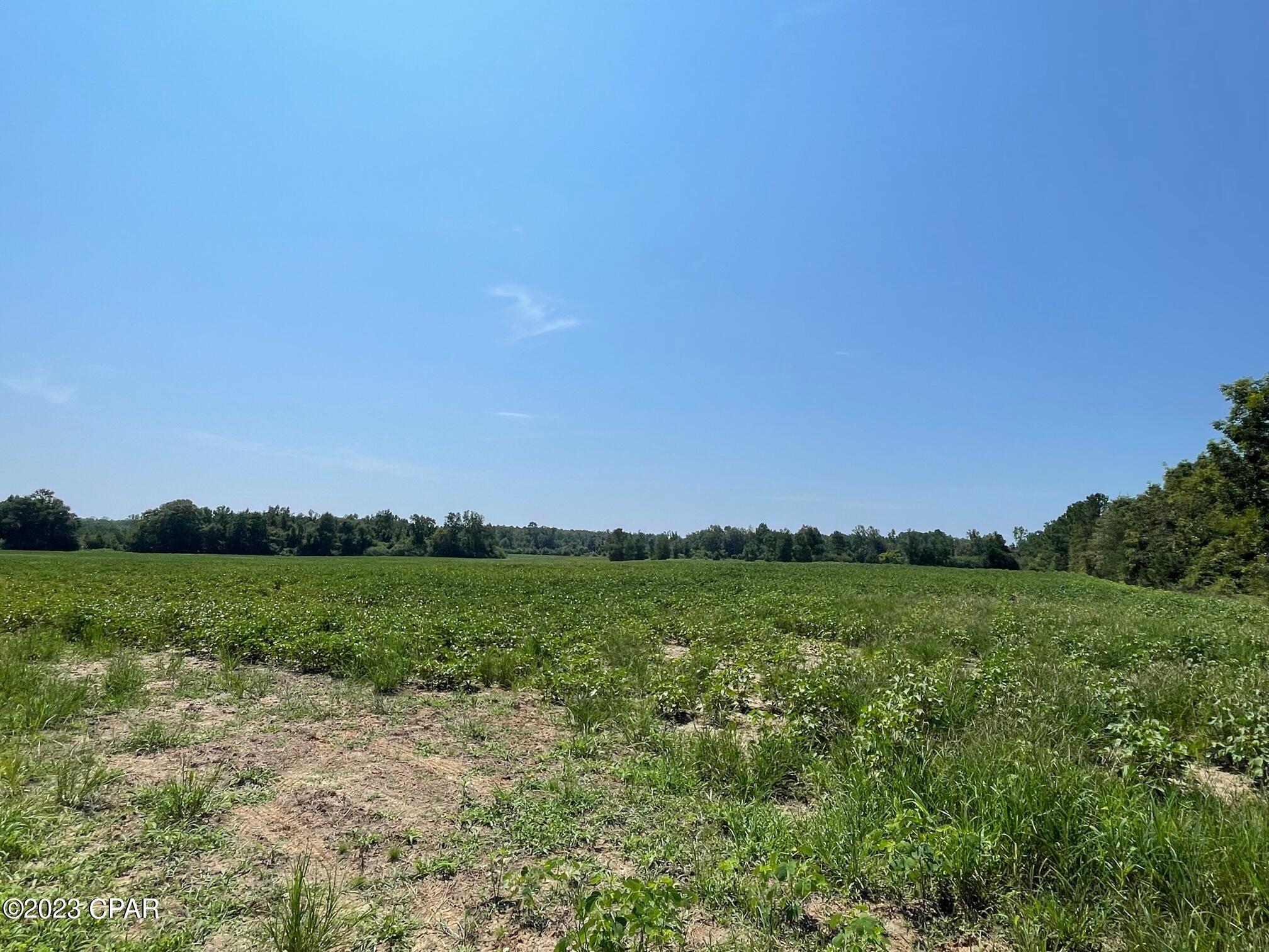 No Named Subdivision - Land