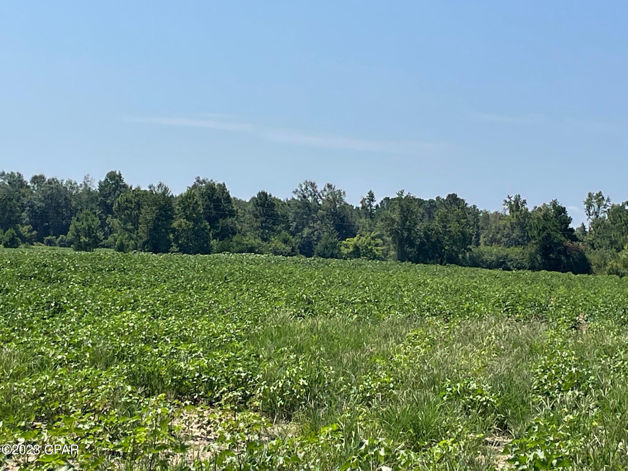 No Named Subdivision - Land