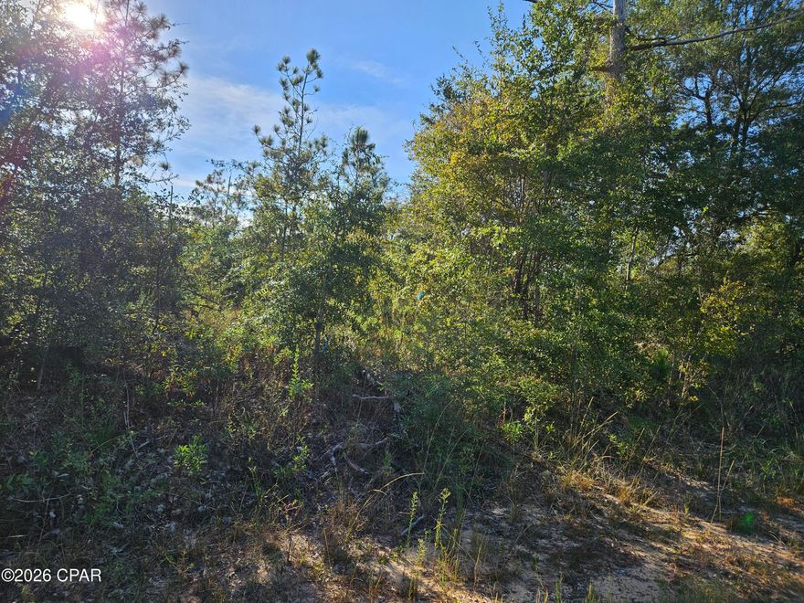 Welcome to the security gated community of Leisure Lakes that offers laid back living with plenty of recreational opportunities. This growing community is in Greenhead in South Washington County, and about 25 minutes from Panama City. Amenities include a basketball court, tennis court, swimming pool, boat launch, covered pavilion with picnic tables and a new toddler playground. Click on the 'Photos' tab to see what is offered. The lot for your new home is wooded, flat and can be secluded with minimal trees removed for construction. There is no hunting so plenty of wildlife call it home including deer, turkeys, racoons and many birds. There is a live security guards at the gated entrance, and residents have a pass code to go though the gate when guards are not present. Come take a tour today.