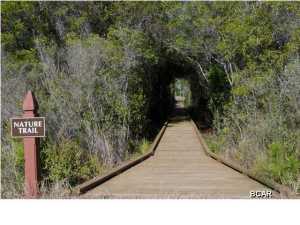 Wild Heron Phase I - Land