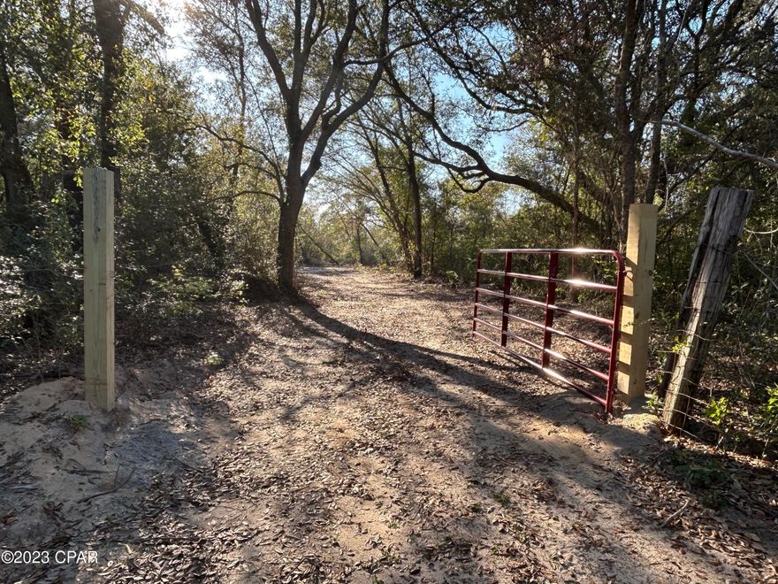 Just a short drive north of Panama City Beach, lies a truly diverse property called the Branchwater Springs tract. The land, numerous multi-acre parcels which consist of upland sandhills, is considered vital to the surrounding ecosystem because of its proximity to the pristine Econfina Creek watershed. The sandhills not only play an important role to the watersheds overall ecology but also contributes to the natural beauty that's only found within this one-of-a-kind wild place. You'll not want to miss out on this rare opportunity to own and enjoy one of the most unique ecosystems known to Florida. Come ride the property's elaborate trail system and make your way up to tremendous hilltop views which literally peer into thousands of acres of neighboring state-owned land. In total, the Northwest Florida Water Management District regulates over forty thousand acres of adjacent state ground. And of course, a majority of the state land is publicly accessible and can be entered through the northern and western lying boundaries of the Branchwater Springs tract. Keep in mind however, the Florida Game and FreshWater Fish Commission strictly prohibits hunting and trapping within the immediate state grounds. With that said, just imagine the influx of wildlife that can freely traverse between your huntable private property and the vast acreages of the state-sanctuary located right next-door. Another unique feature of the property is the abundance of natural springs that seep from the filtrating sand hills to form swift running, crystal clear streams that eventually feed into Econfina Creek. There are many benefits to owning land in the Econfina Creek region. For one, the local area enables a host of outdoor activities which can be had amongst beautiful, lush forest, crystal-clear streams, and large amounts of wildlife. A healthy deer and turkey population along with many other species call this property home. Speaking of home, the property has multiple building sites for your cabin or residential home that offer breathtaking views of the surrounding landscape. So, whether you're looking for land to build your dream home or just a place to relax for the weekends, this property and the surrounding park areas certainly have it all. Don't miss out on your chance to own a piece of Florida paradise. Give me a call today to schedule your private tour.