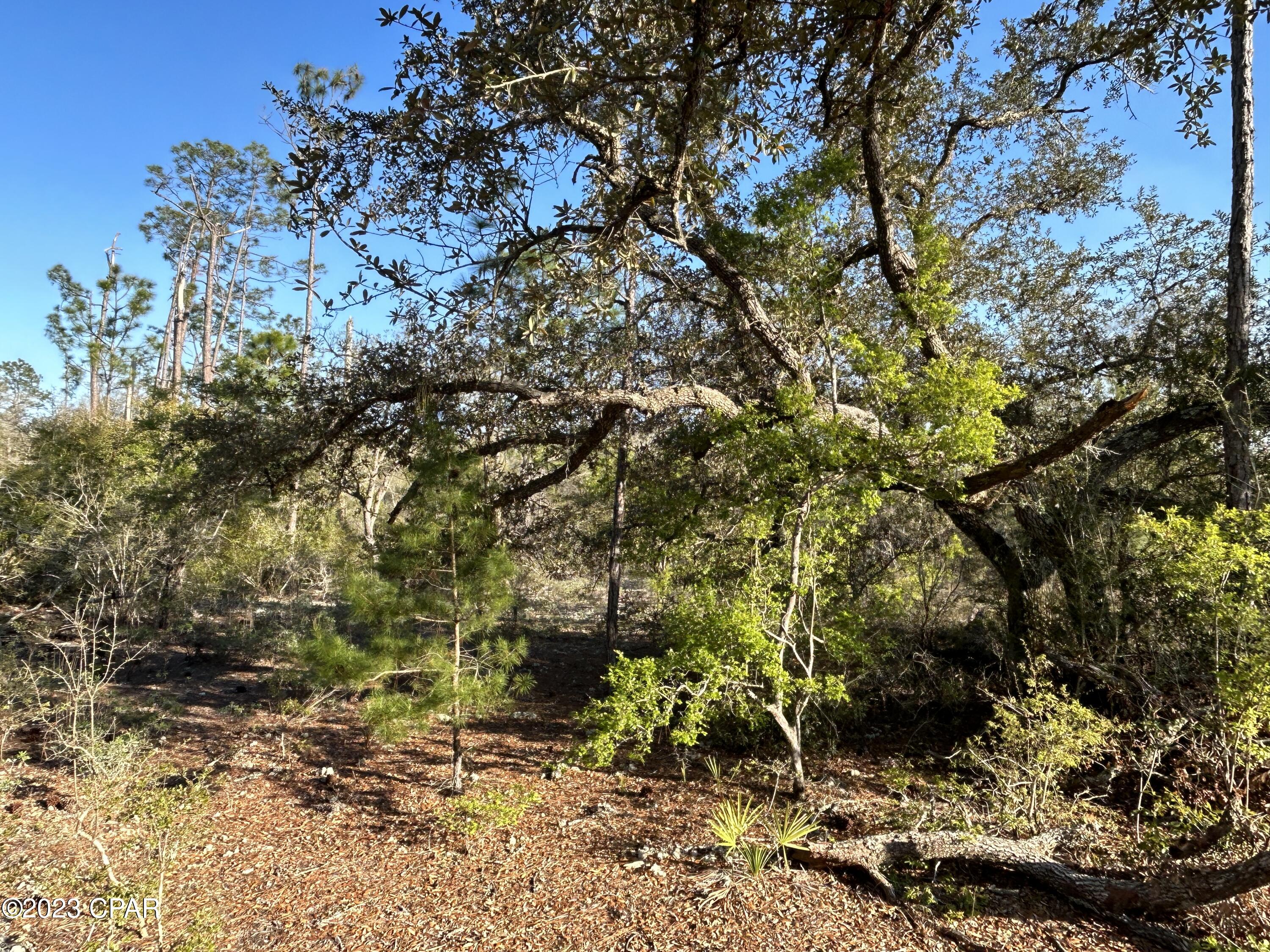 [No Recorded Subdiv] - Land