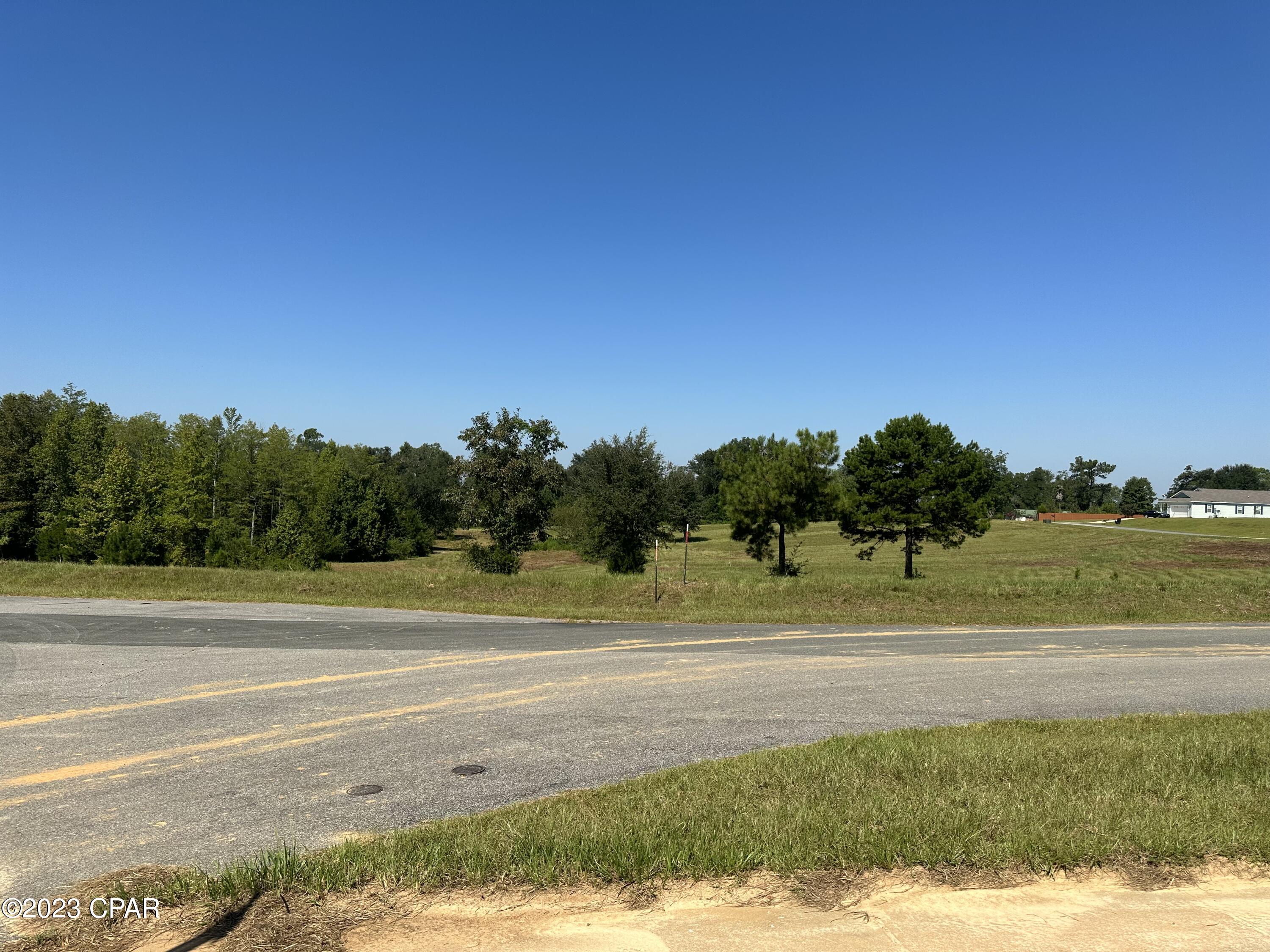 Cypress Tree - Residential